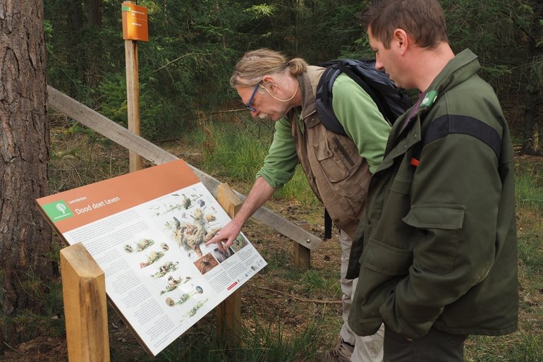 Dood doet Leven in Brabant. Foto: Jinze Noordijk, EIS Kenniscentrum Insecten