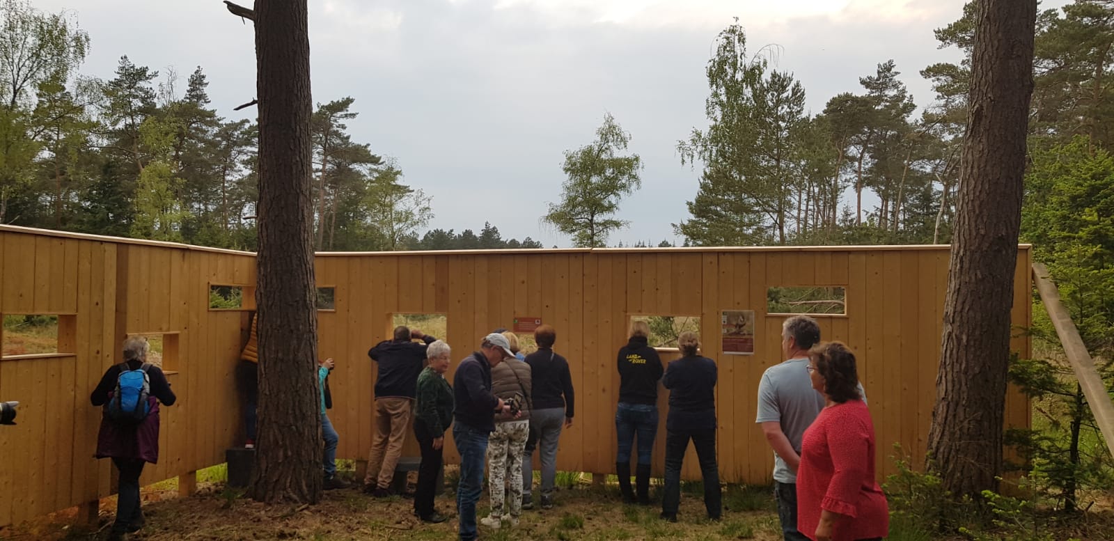 Wildkijkscherm in het Leenderbos bij Valkenswaard. Foto: Erik Schram/Staatsbosbeheer