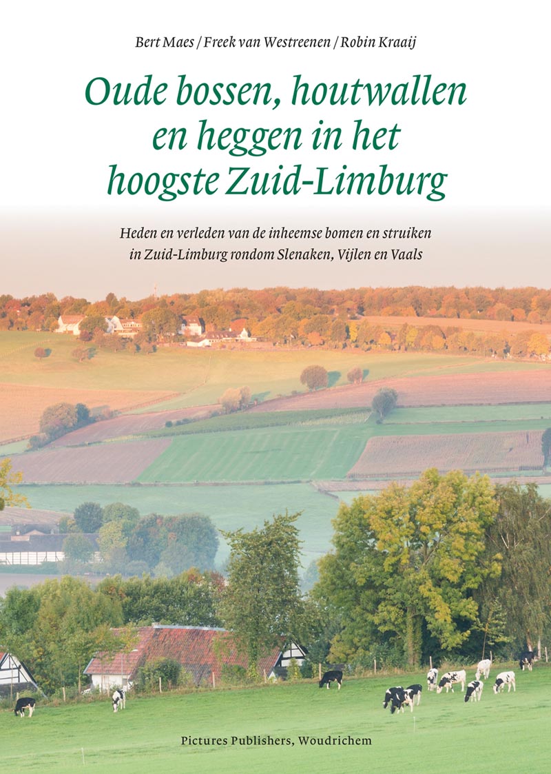 Oude bossen, houtwallen en struiken in het hoogste Zuid-Limburg