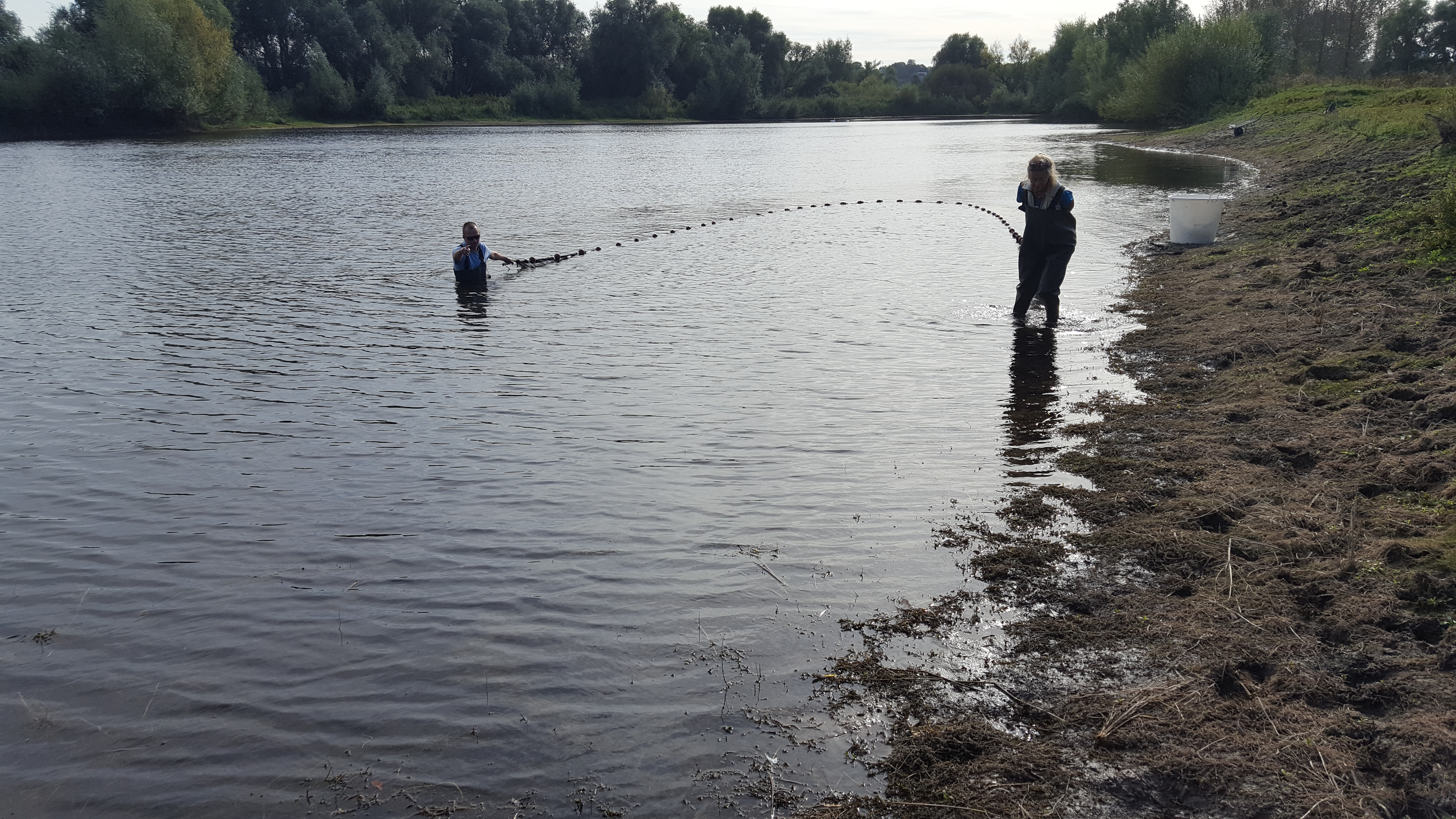Visonderzoek in de Oude Waal
