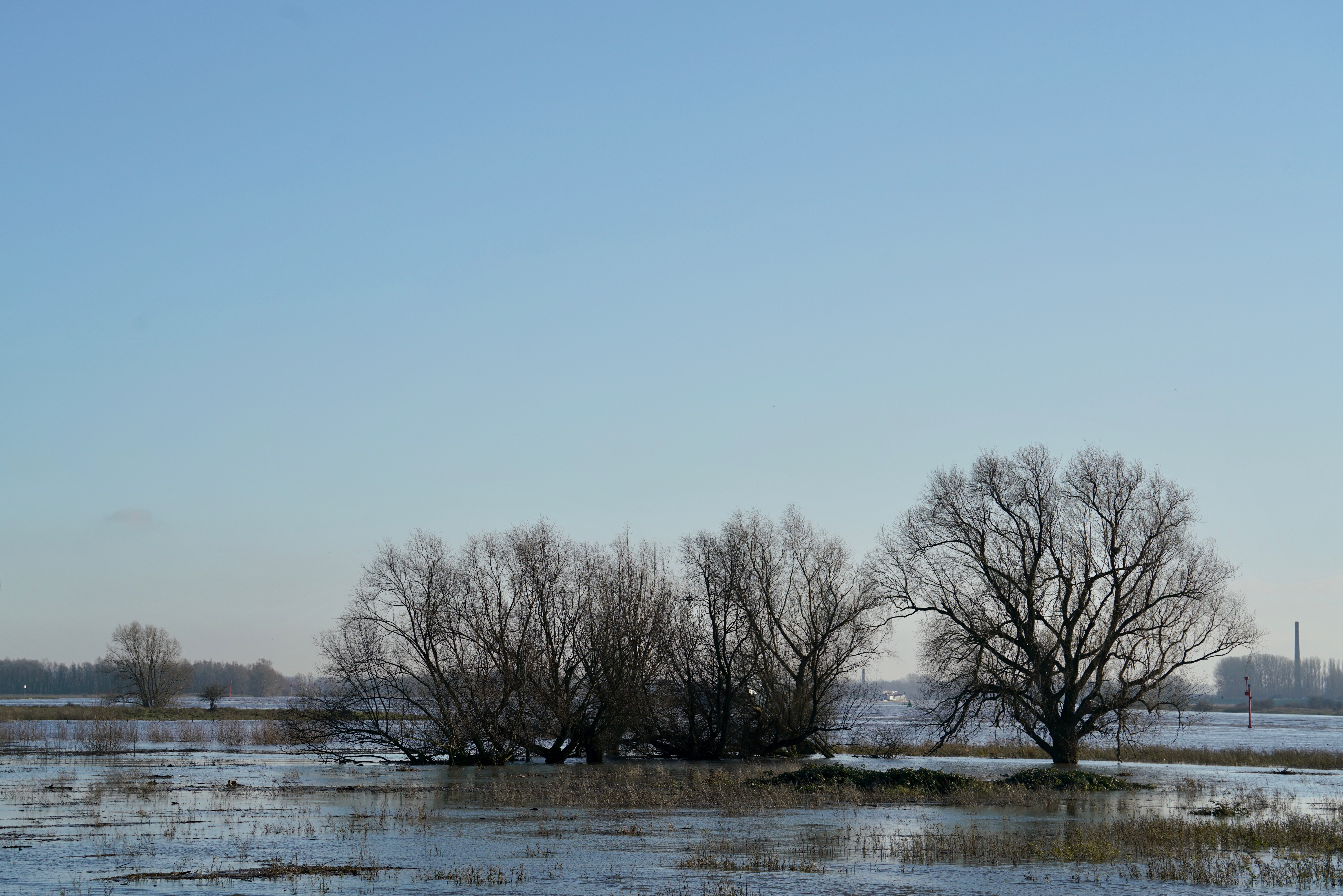 Hoogwater in de Konijnenwaard tussen Gendt en Bemmel