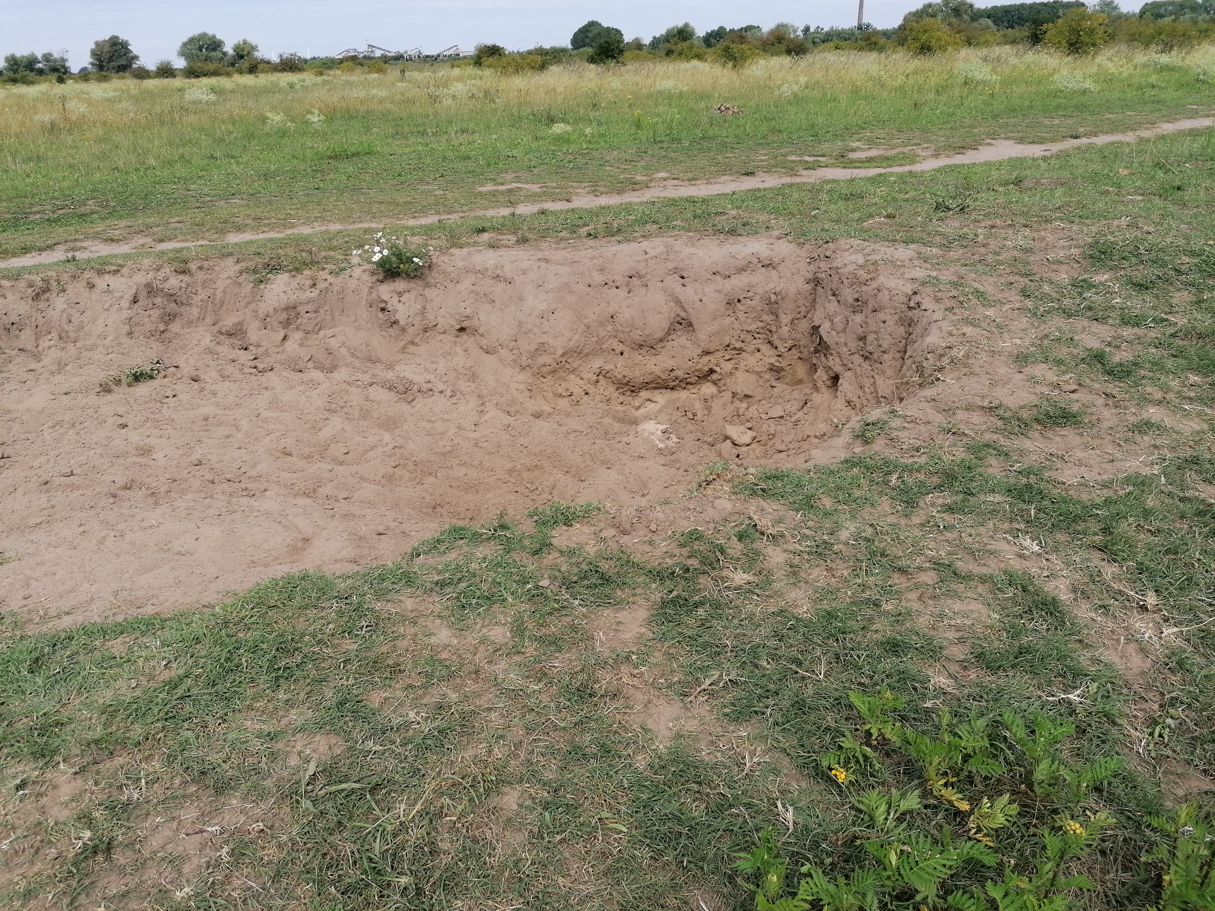 Stierenkuil in de Gelderse Poort. Foto: Rens de Graaf