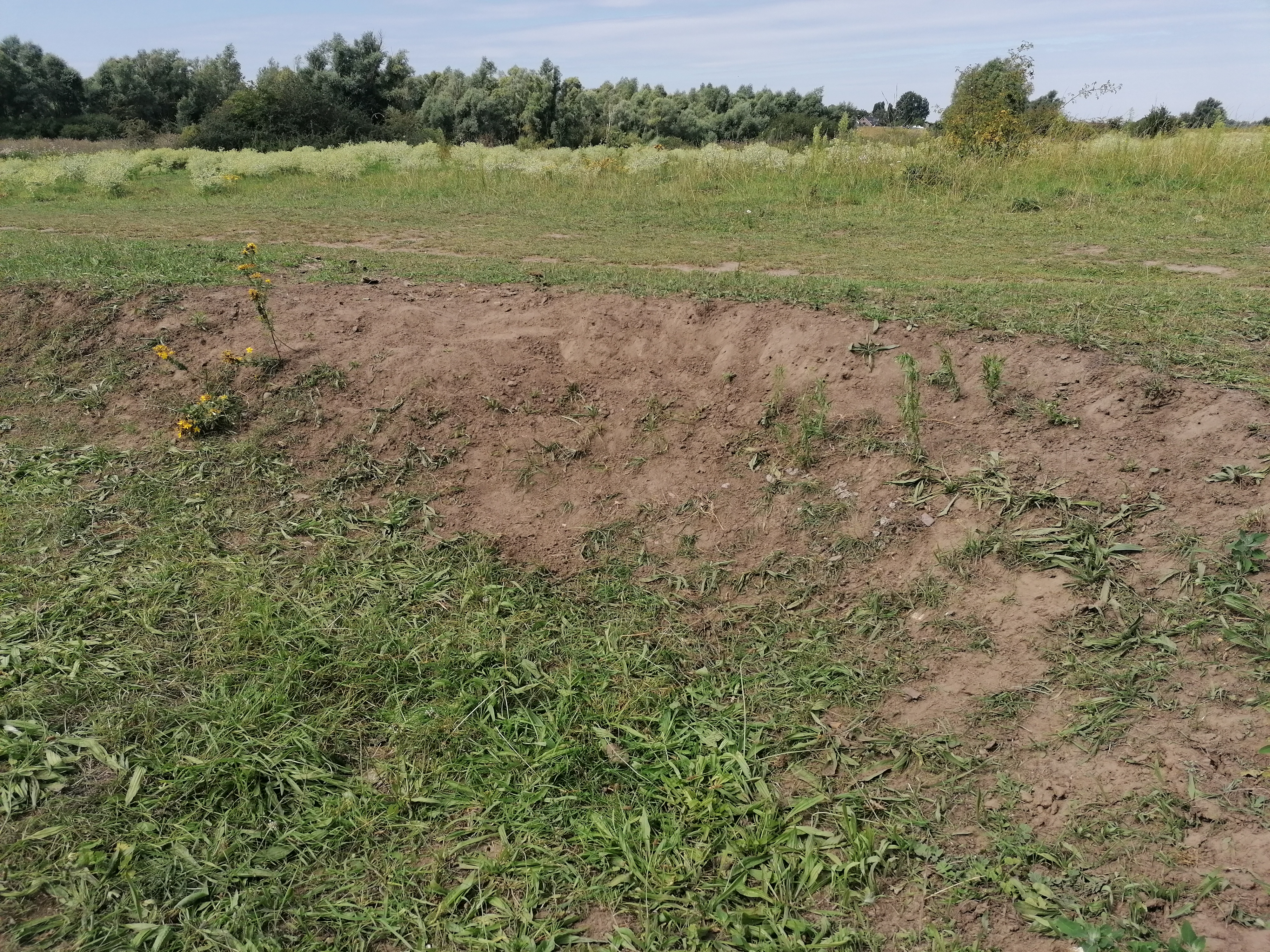 Stierenkuil in de Gelderse Poort. Foto: Rens de Graaf
