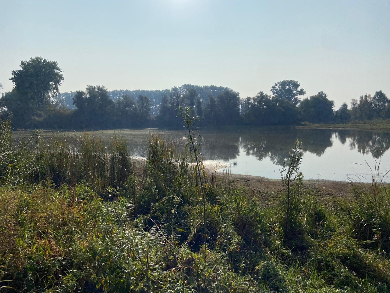 Uiterwaarden van natuurgebied de Gelderse Poort. Foto: Teun van Beuningen