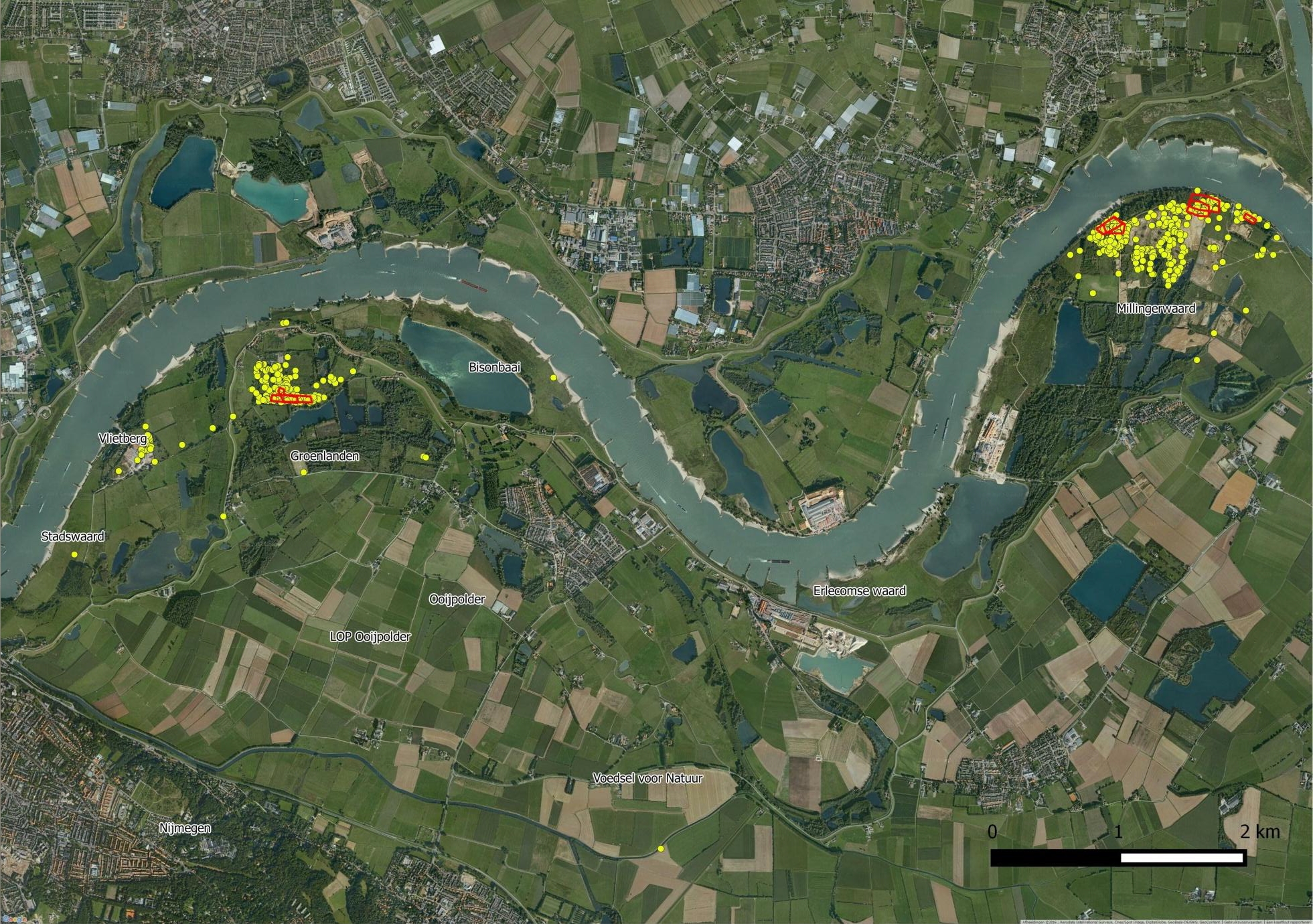 Rood omcirkeld zijn de uitzetlocaties, de gele stippen zijn de waarnemingen van de hooibeestjes tijdens de inventarisaties in 2013 t/m 2015