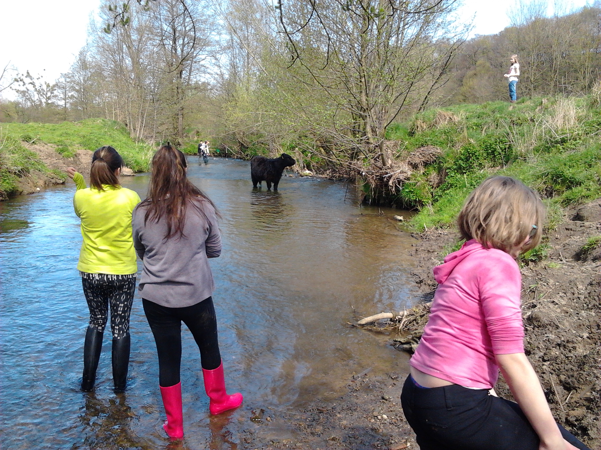 Veldles langs de Geul. Foto: Michael Seidlitz 