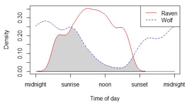 afbeelding 1 Activiteitenpatroon van de raaf (rode vaste lijn) en de wolf (blauwe gestreepte lijn) in Nederland