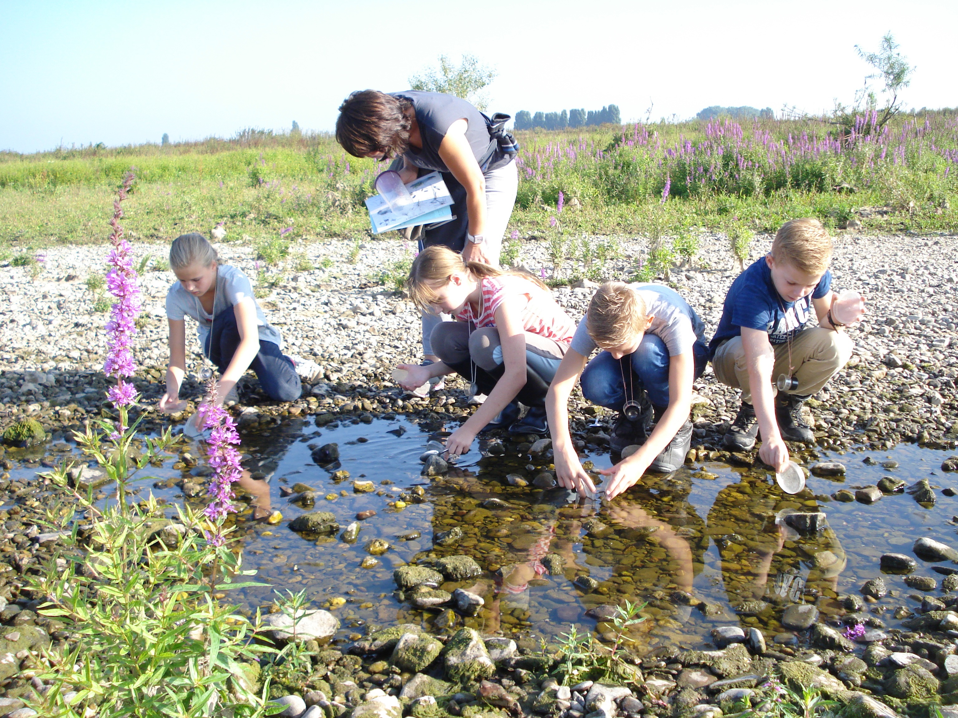 Veldlessen langs de Grensmaas. Foto: Jobien Boonman