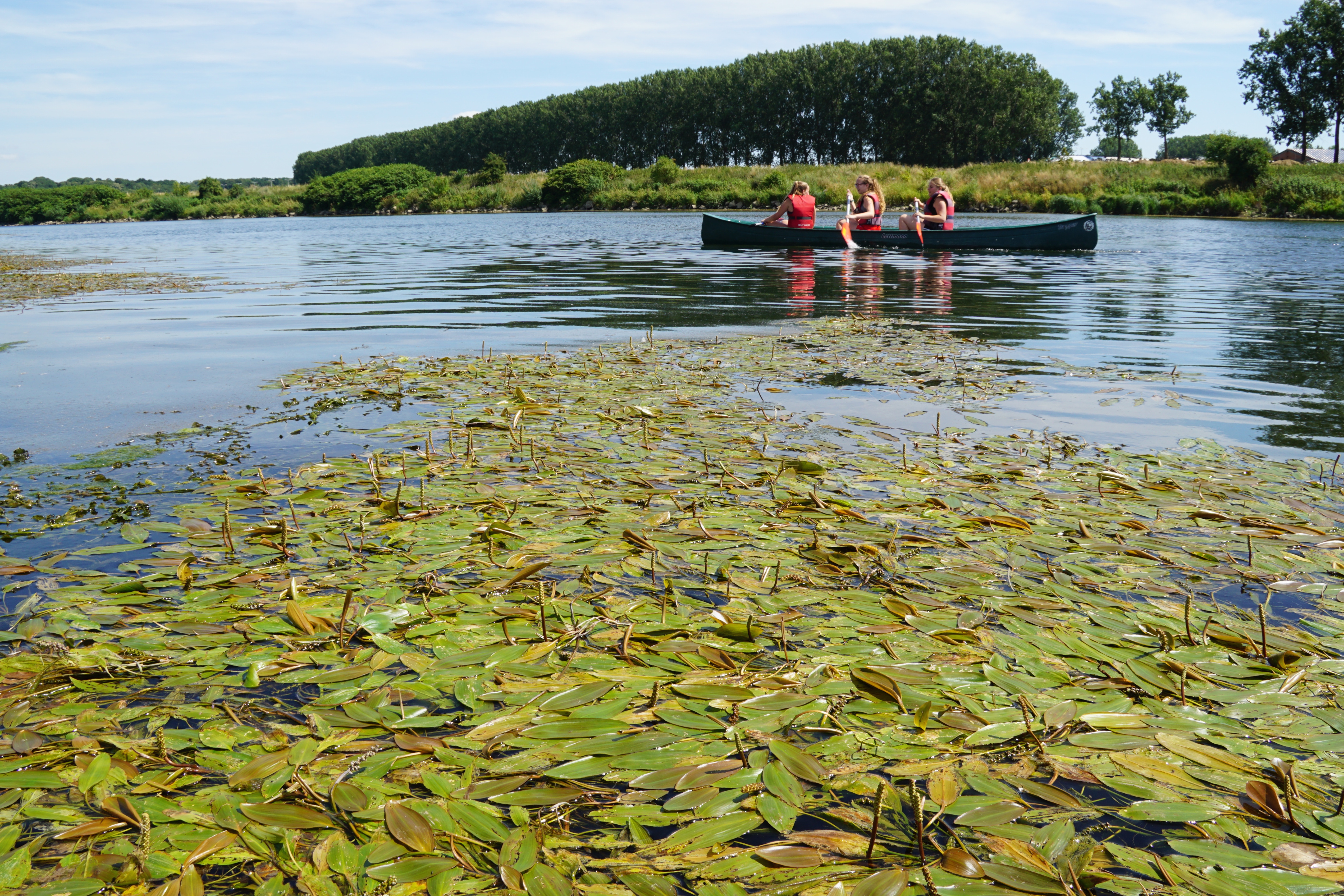 Kanoplezier op de Grensmaas. Foto: Twan Teunissen