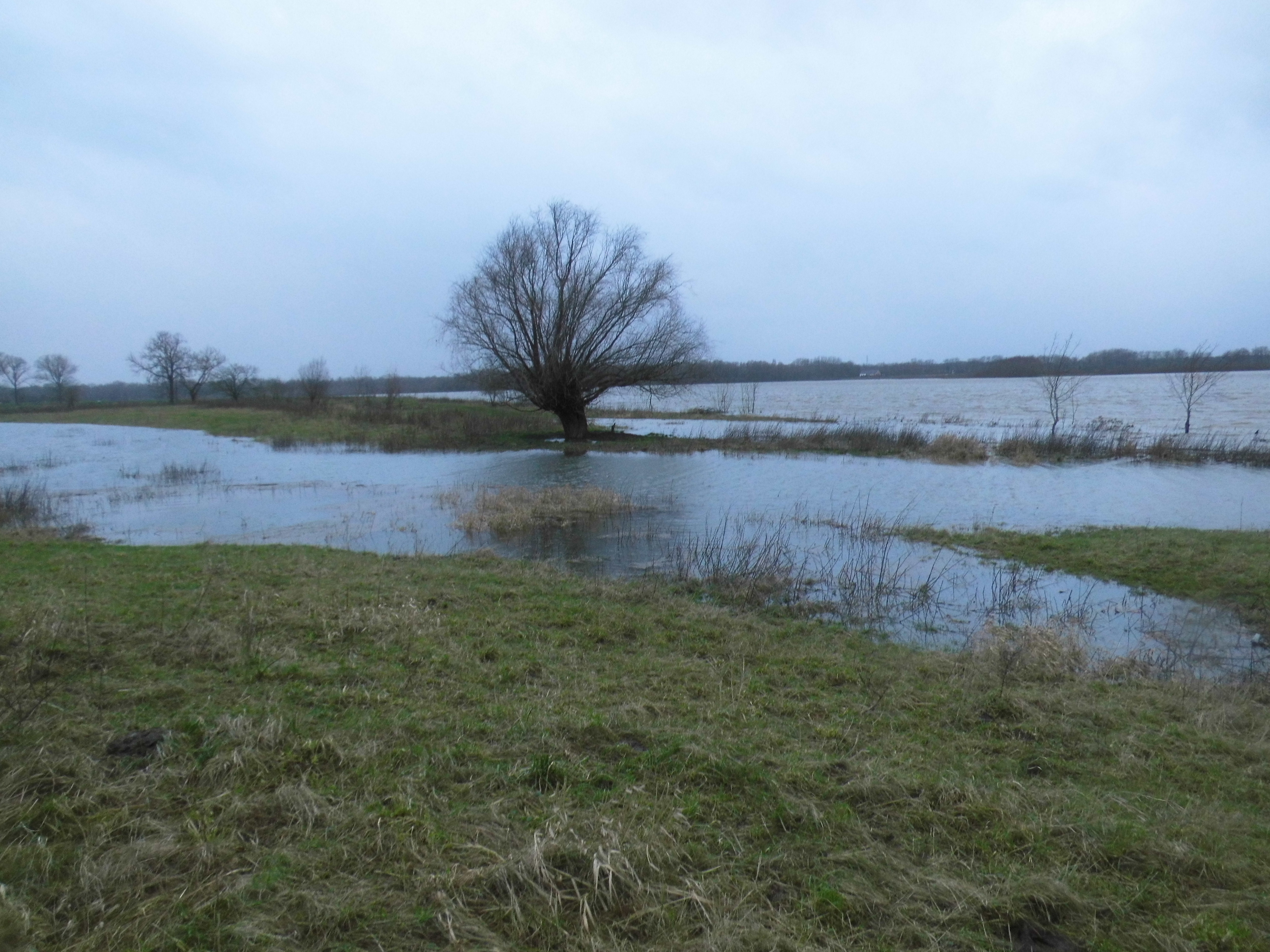 Hoogwater Grensmaas