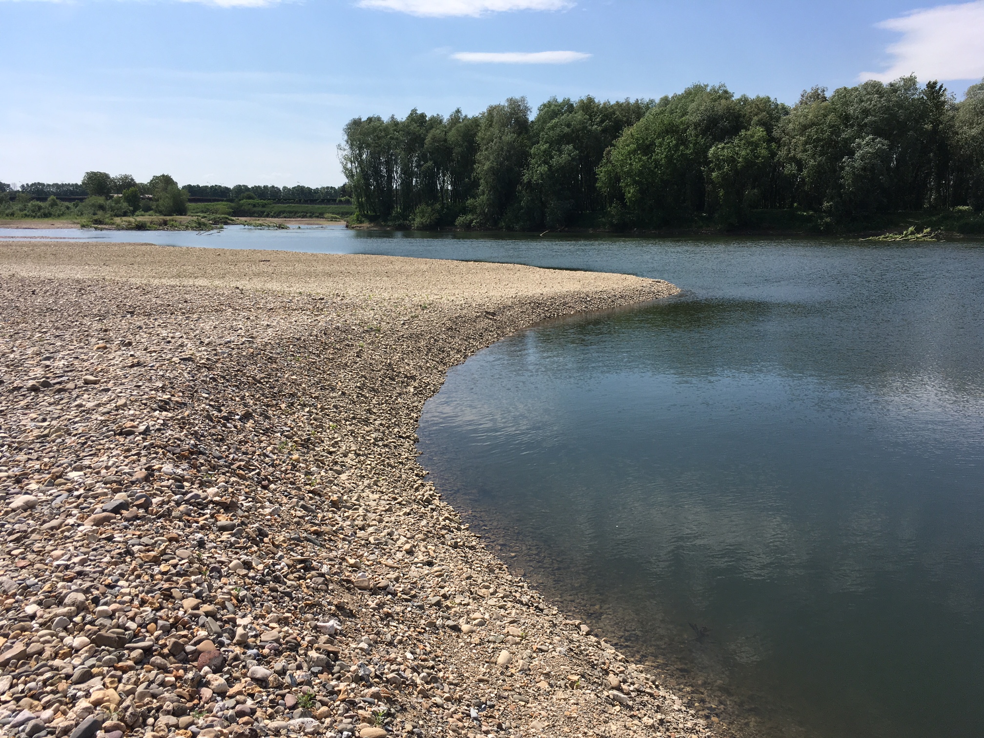 Grensmaas bij Meers, foto: Rob van Schijndel