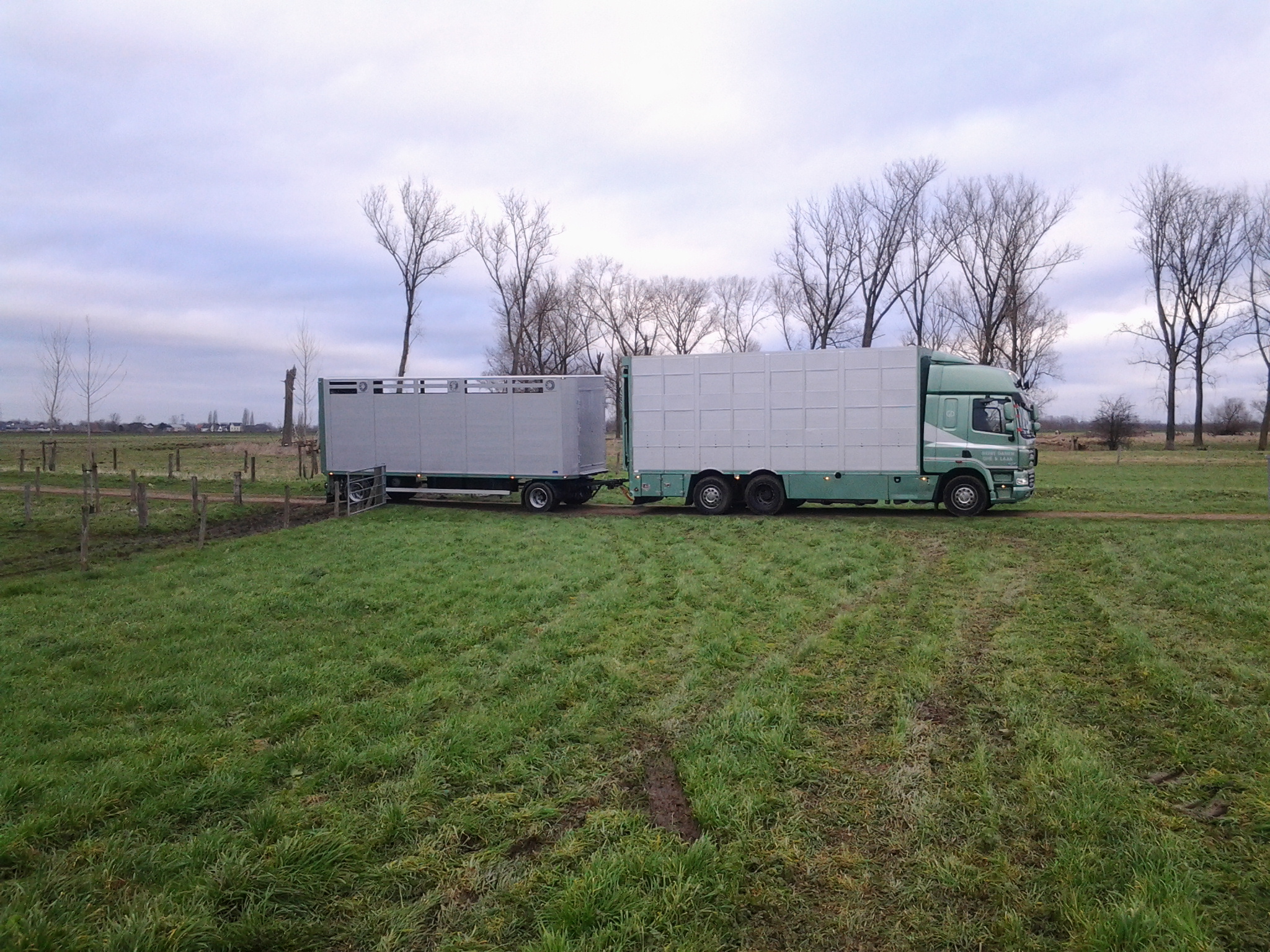 Transport koniks naar Duitsland