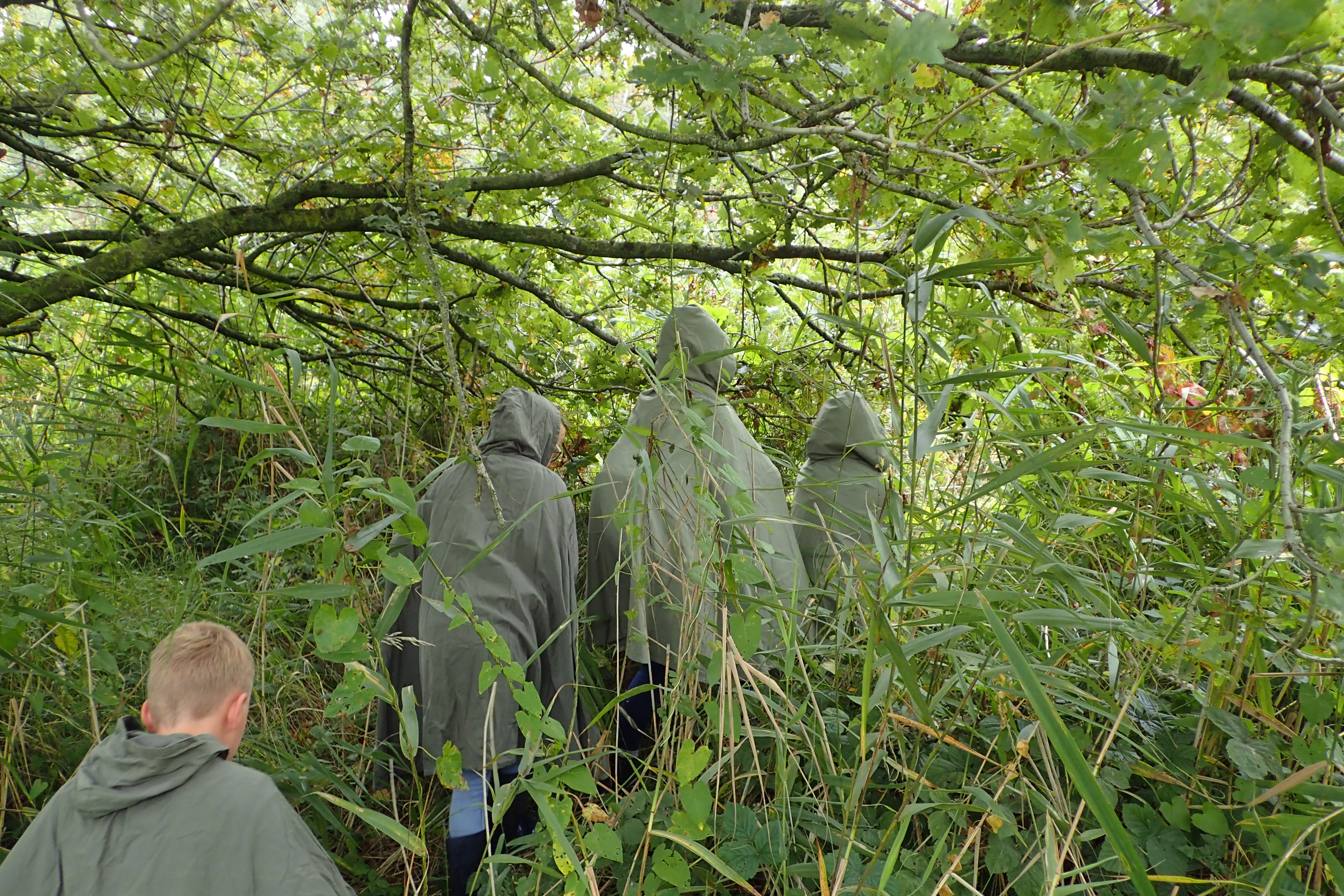 Met een 'natuurcape' dwars door de natuur tijdens een veldles in Het Groene Woud.