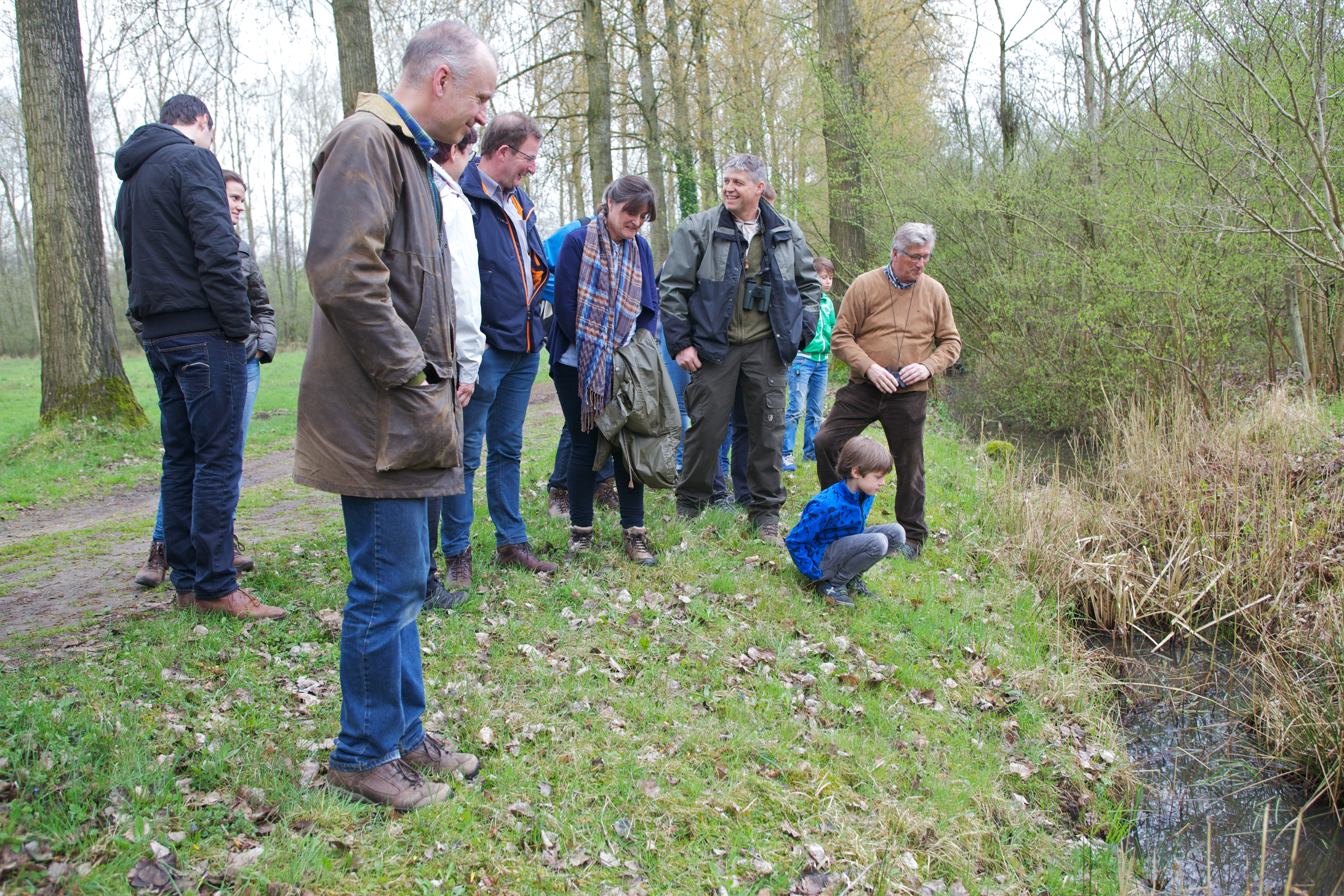 Edelhertenexcursie in Het Groene Woud