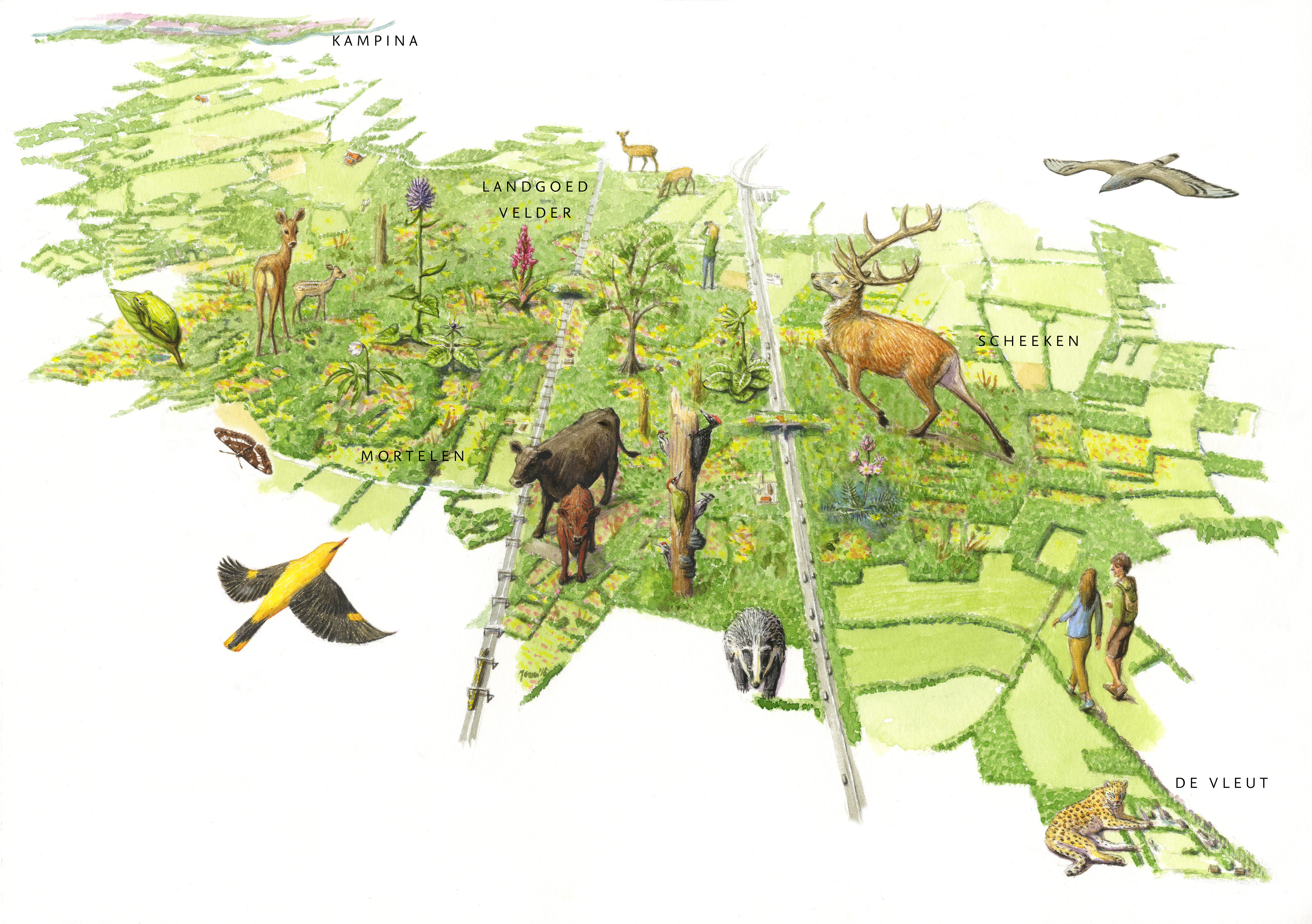 Toekomstbeeld Het Groene Woud
