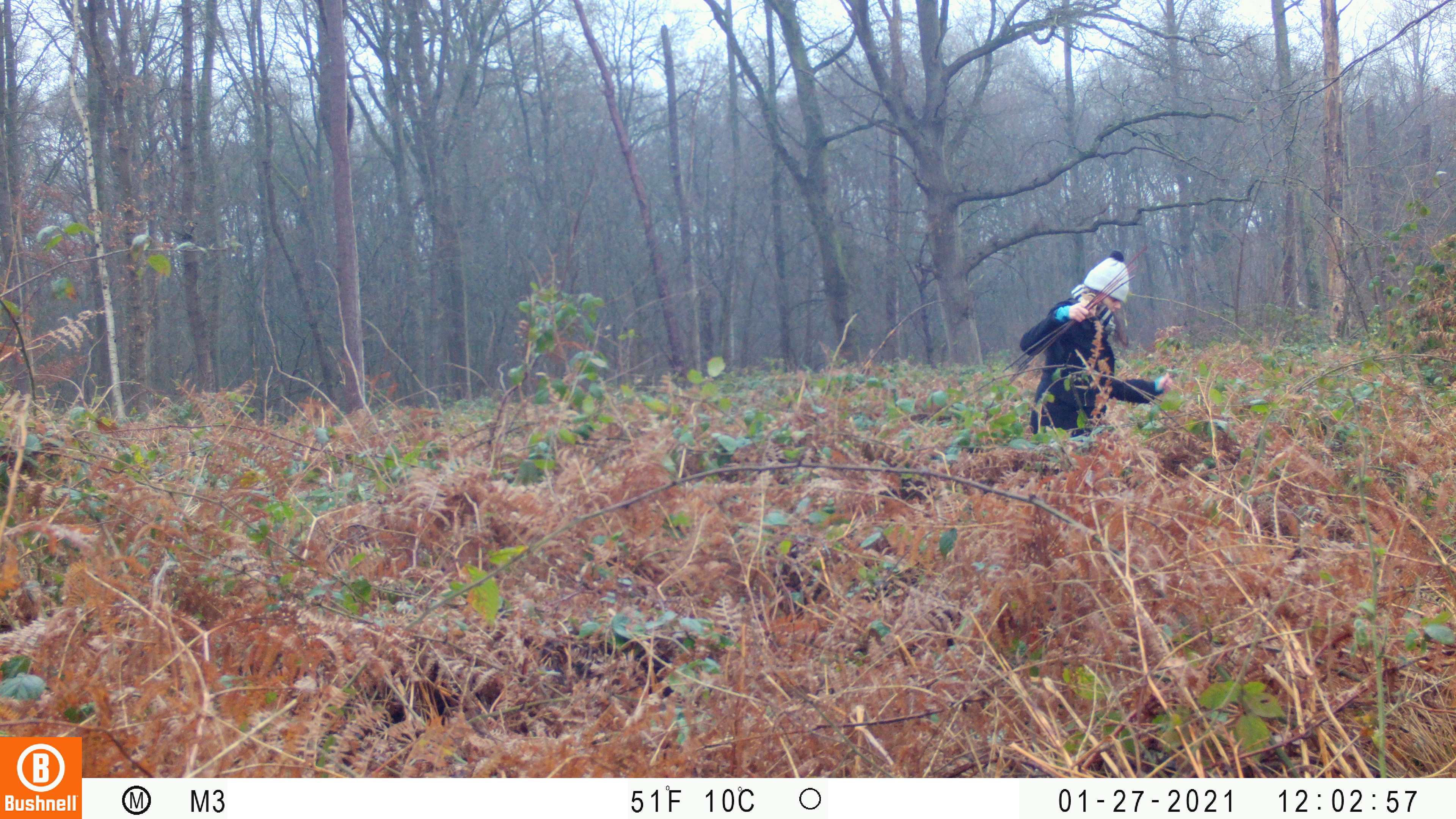 Student Wobke van der Velde in het edelhertengebied