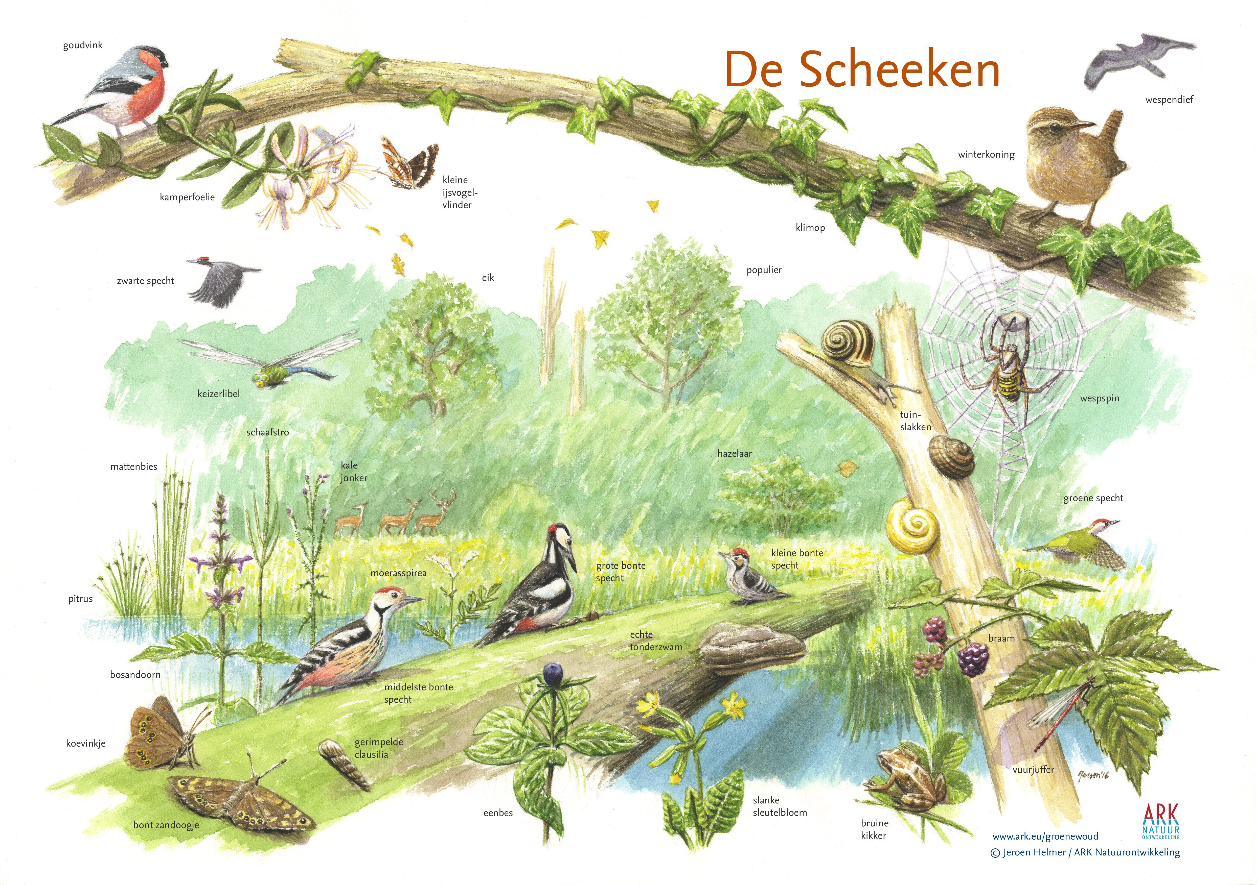 Zoekkaart de Scheeken in Het Groene Woud