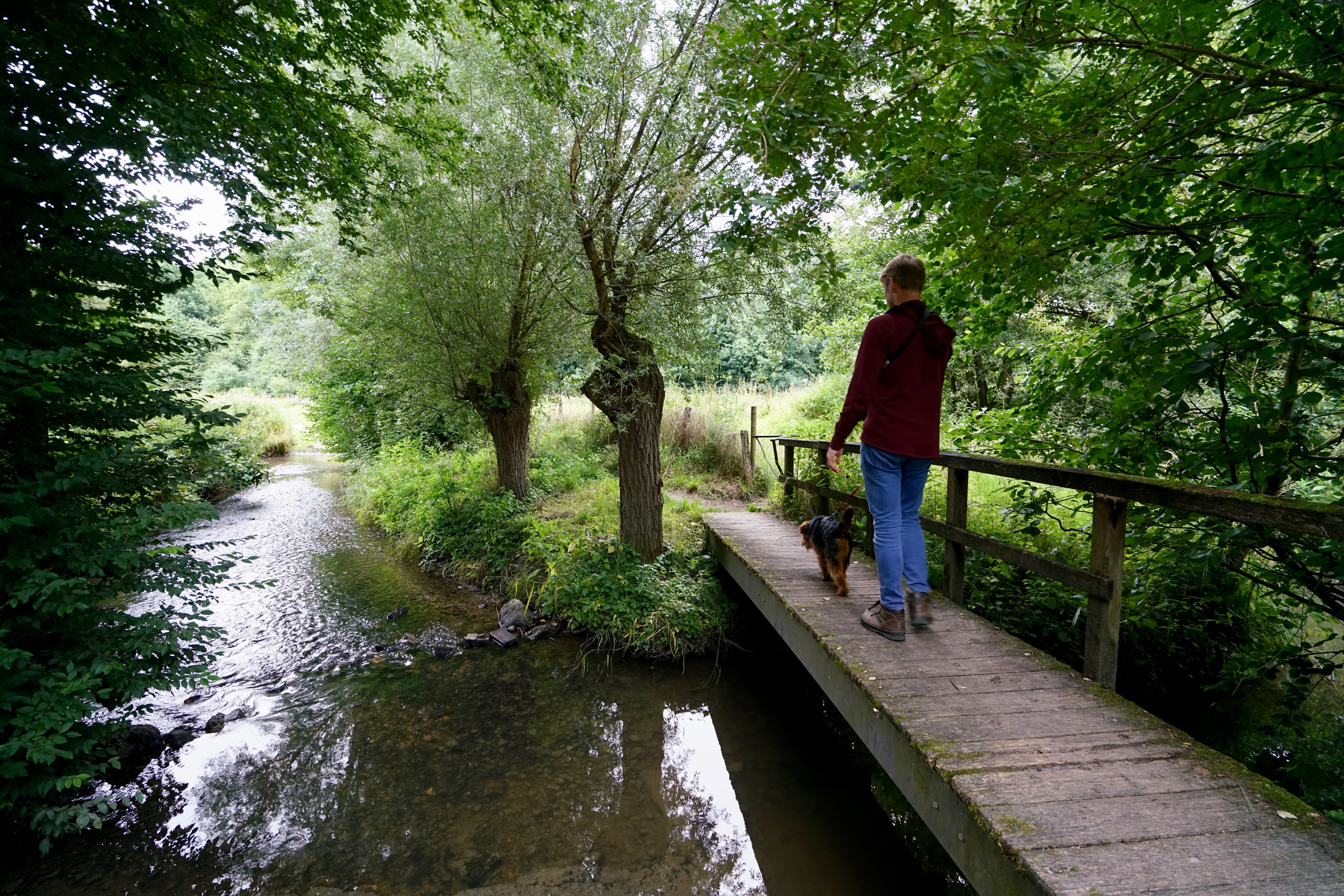 Gulpdal bij Slenaken. Foto: Twan Teunissen