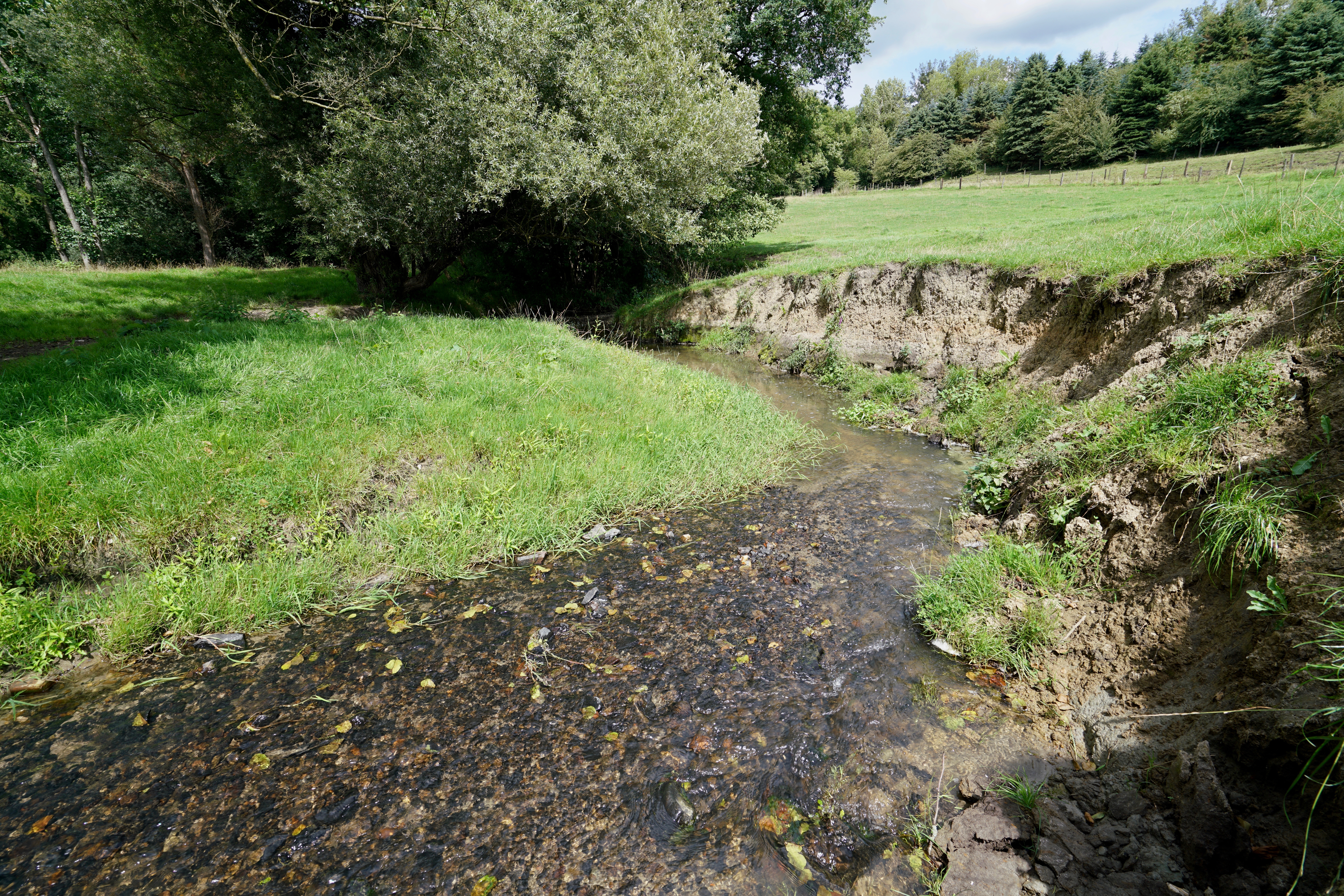 Natuurlijke beekdalen kunnen meer water bergen; de Gulp bij Teuven.