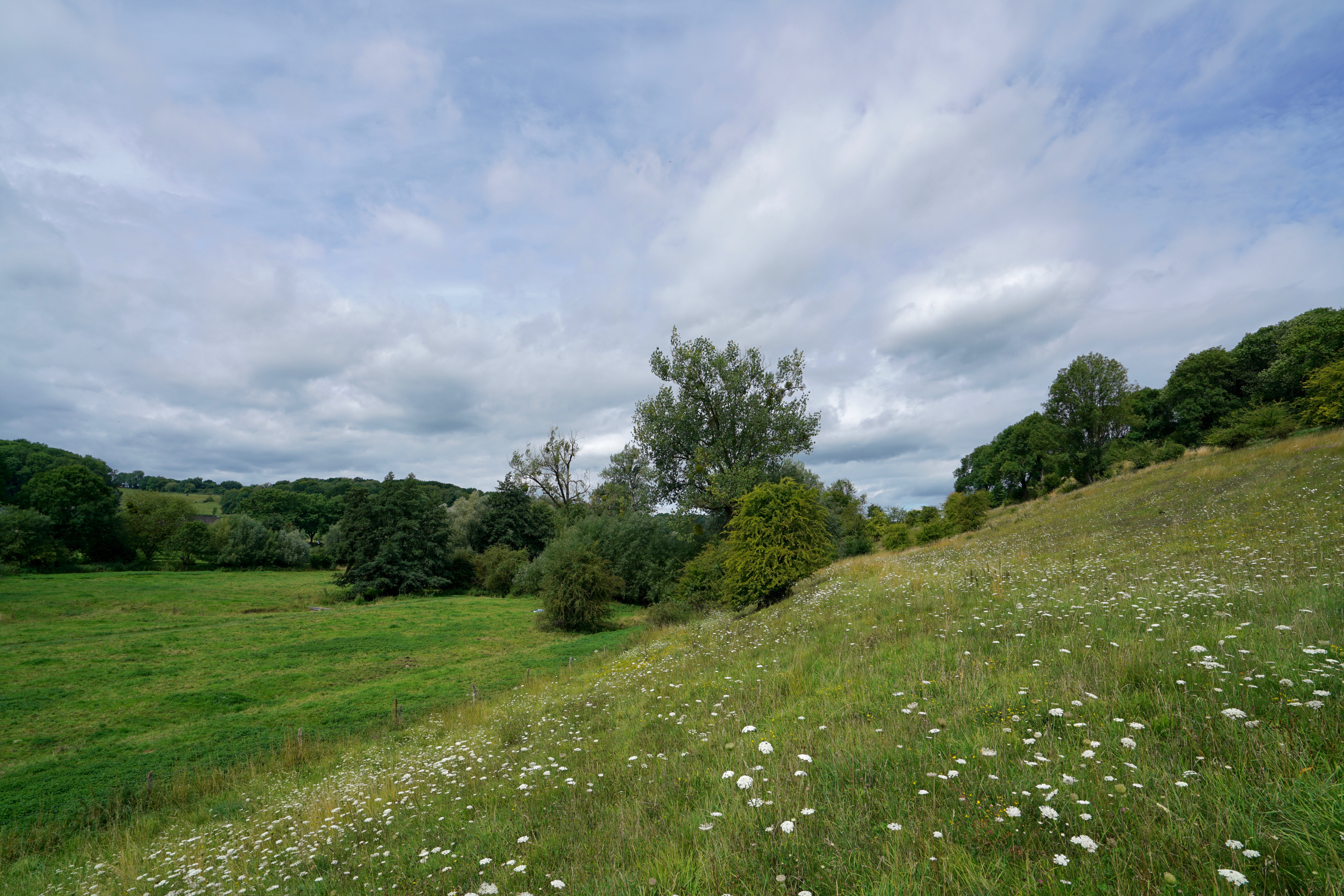 Gulpdal bij Slenaken. Foto: Twan Teunissen