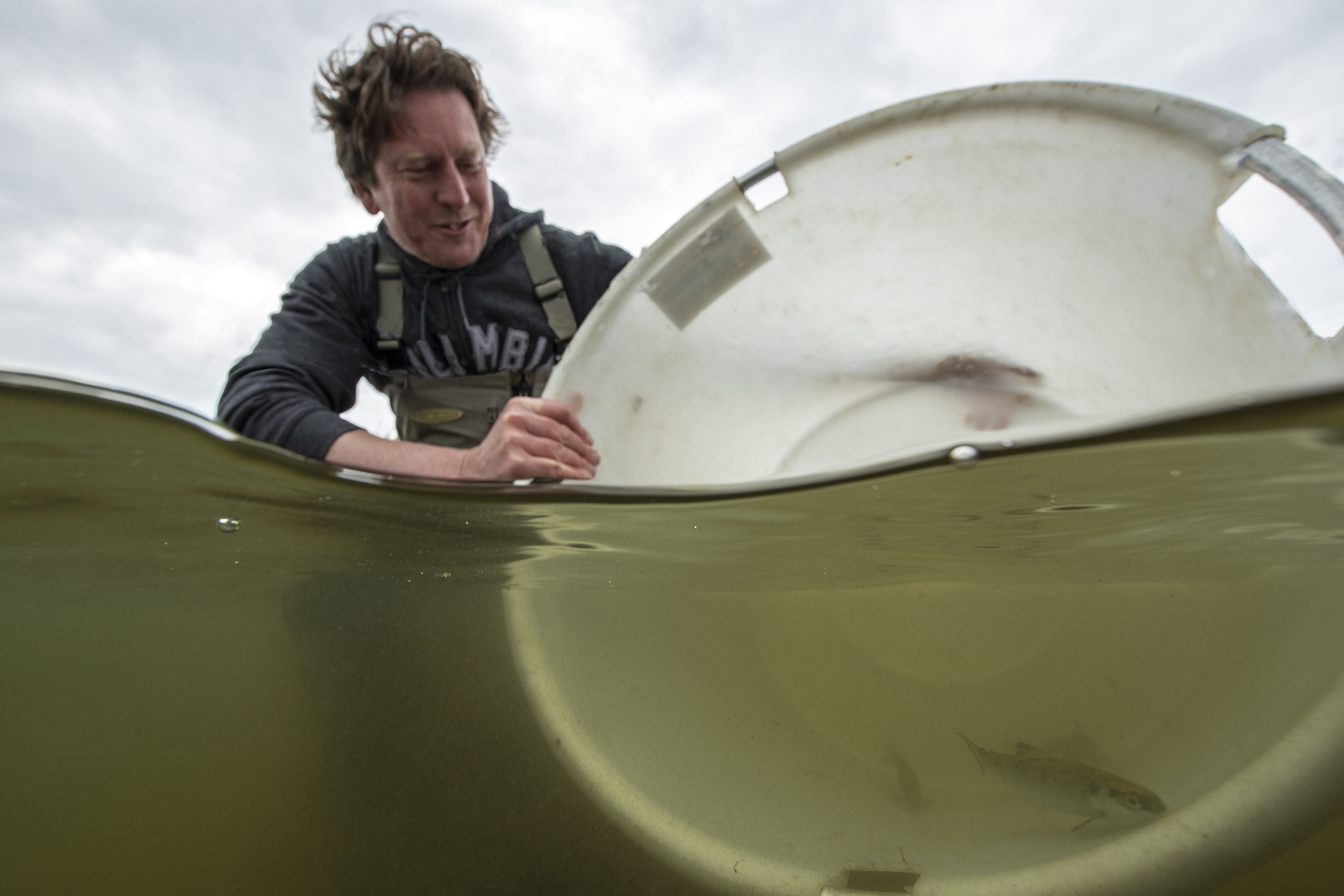 Uitzetten zalmen. Foto: Arthur de Bruin, Blikonderwater