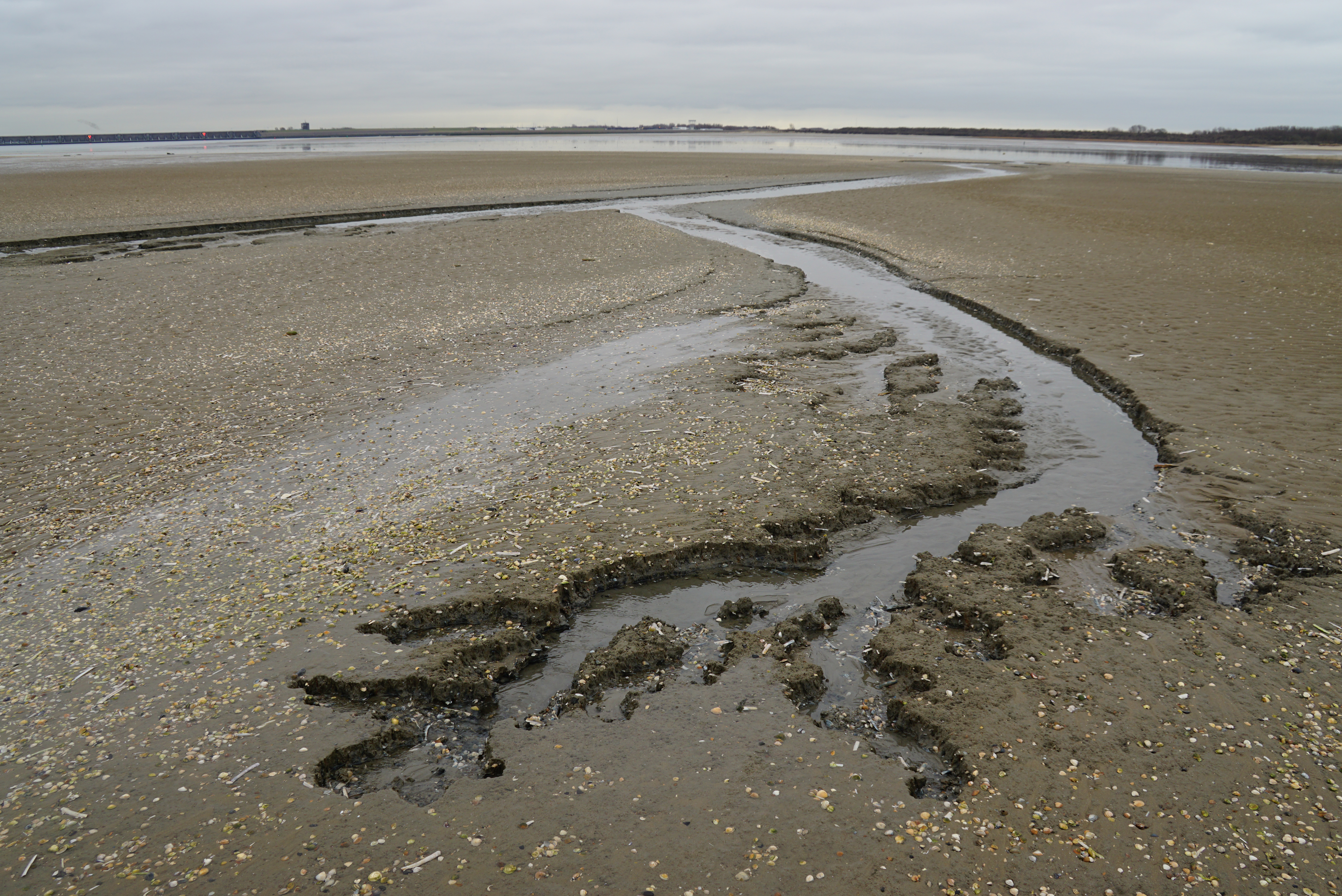 Droge zandplaat bij de Haringvlietsluizen