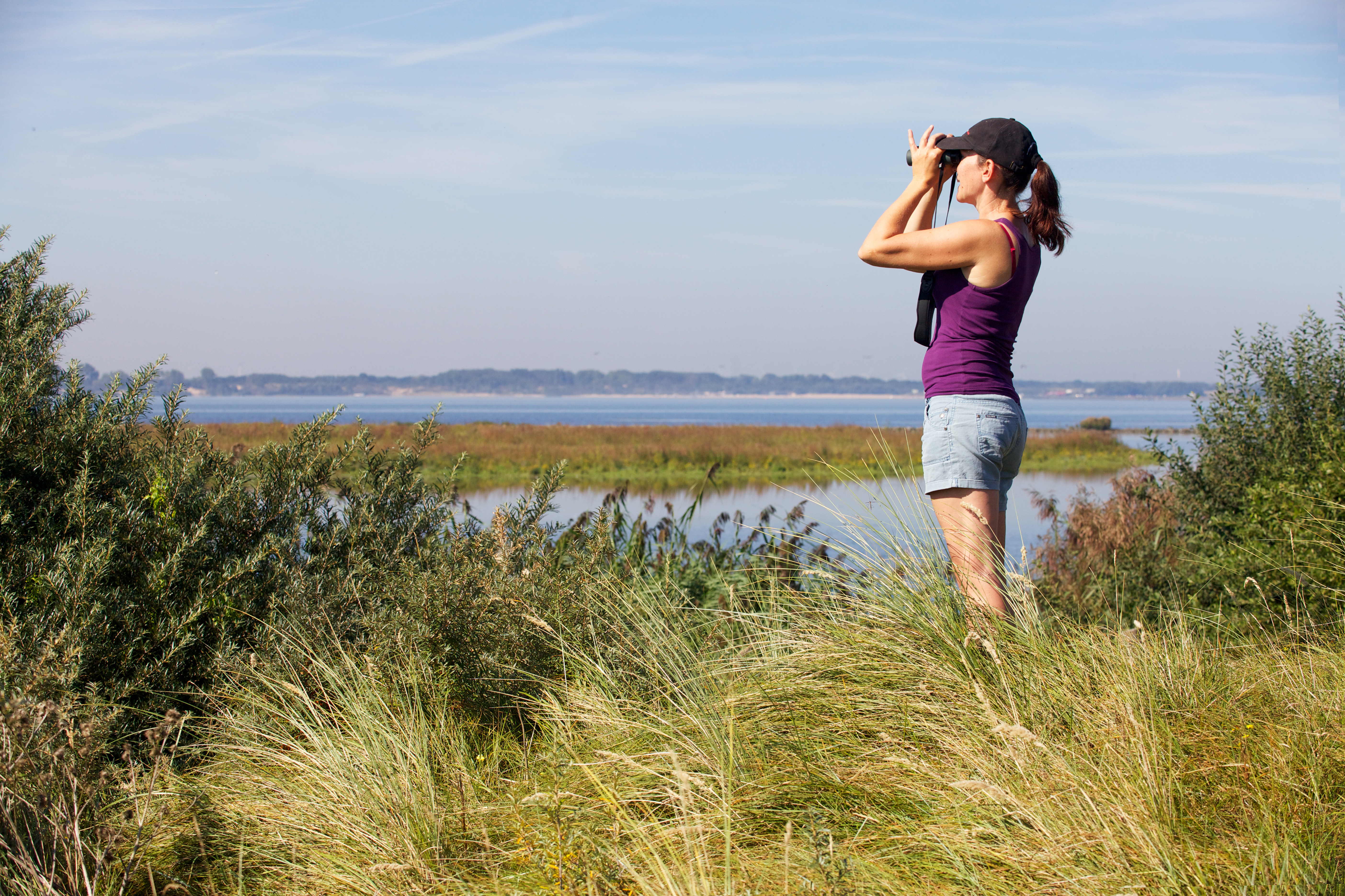 Vogelaar bij het Haringvliet