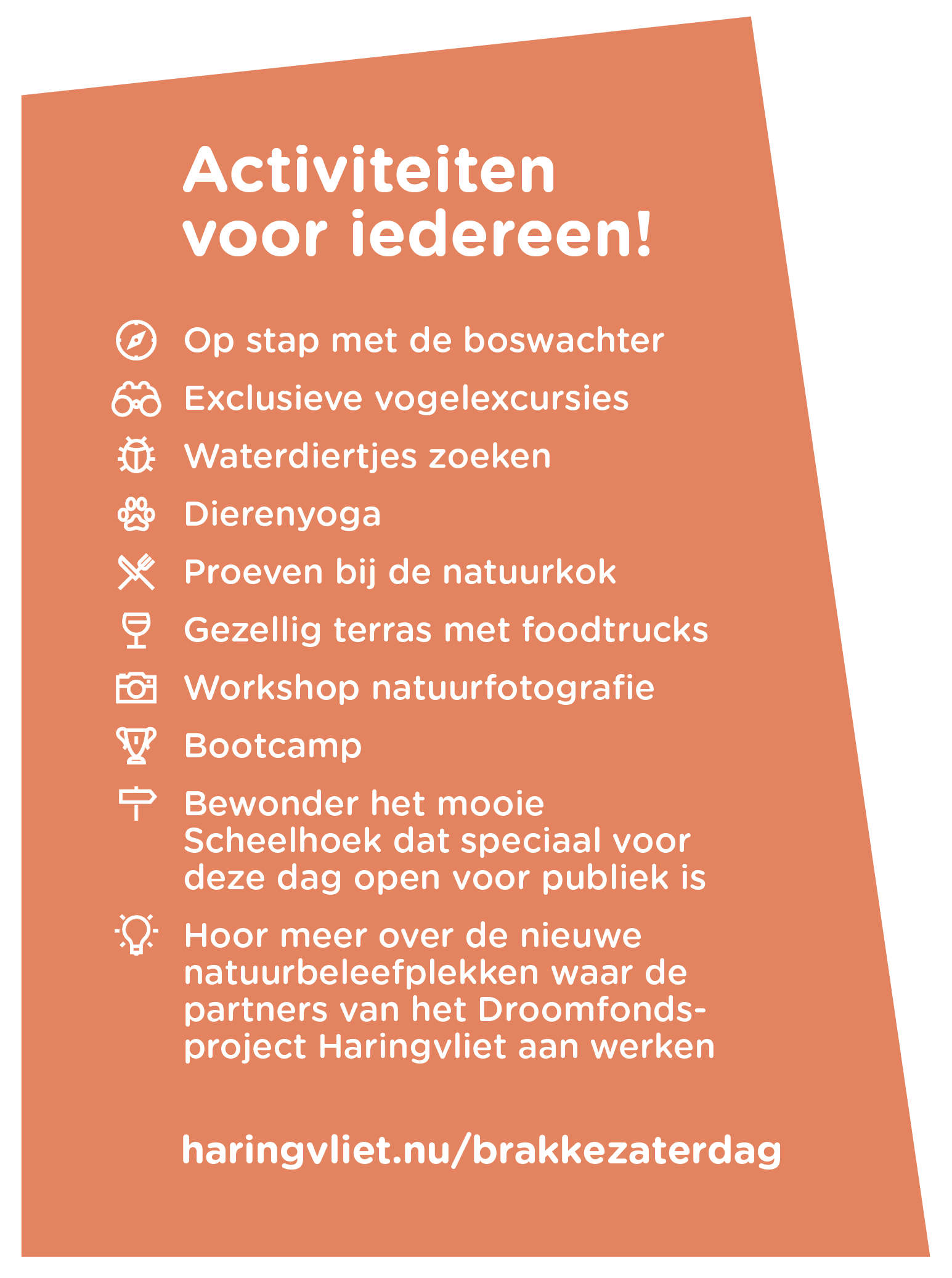 Brakke Zaterdag activiteiten
