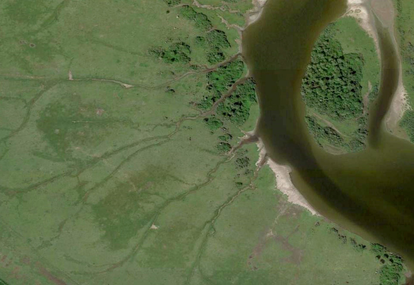 Dezelfde plek in 2019; alle stierenkuilen zijn verdwenen.