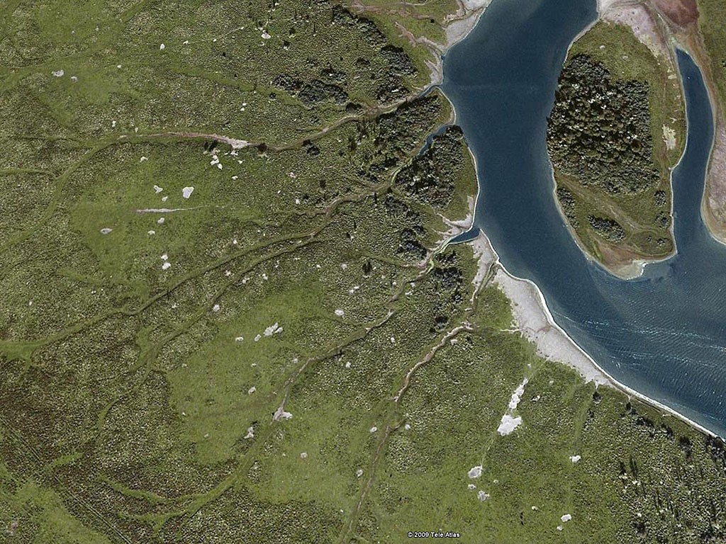 Een cluster van stierenkuilen op de Hellegatsplaten in 2009.