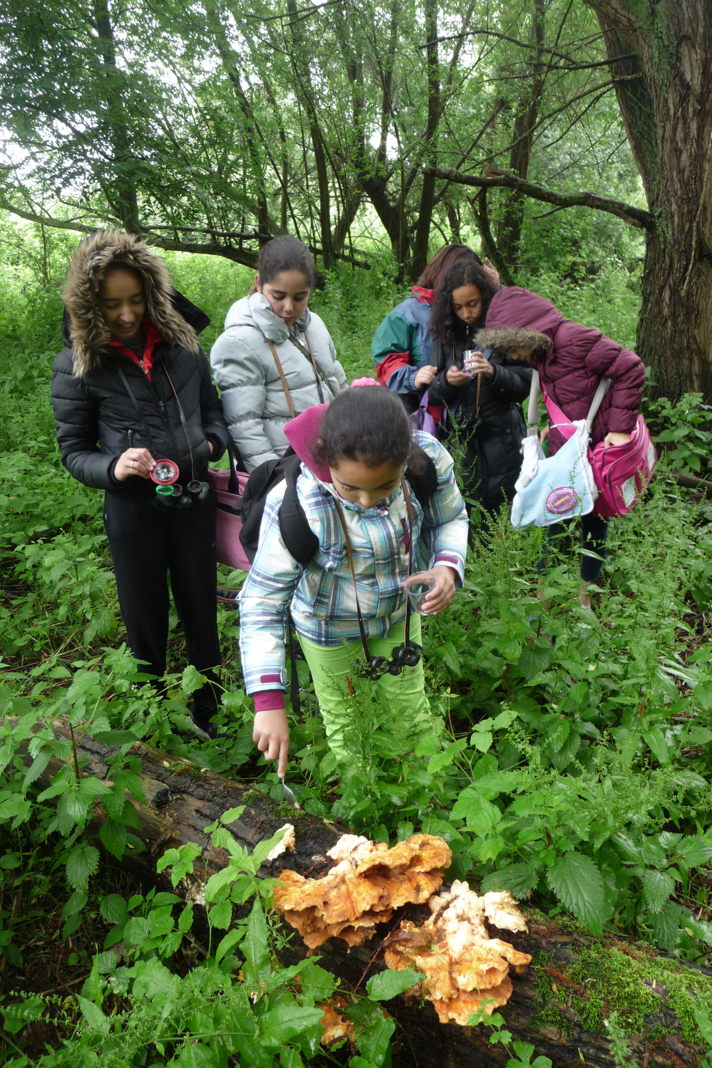 Veldles Eiland van Brienenoord