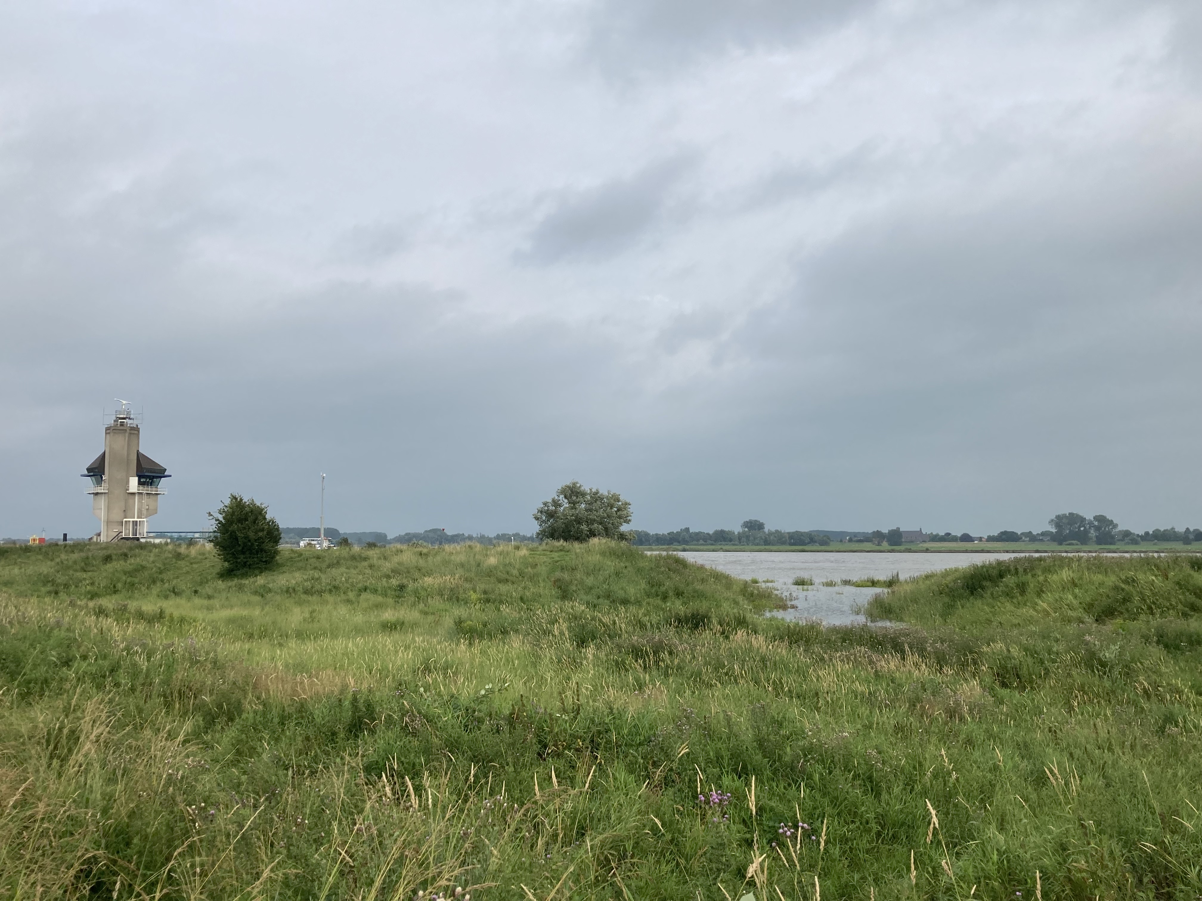 Grote delen van de Kleine Willemswaard in Tiel zullen de komende dagen overstromen. Foto: Emmie Nuijen, Rivier Actief