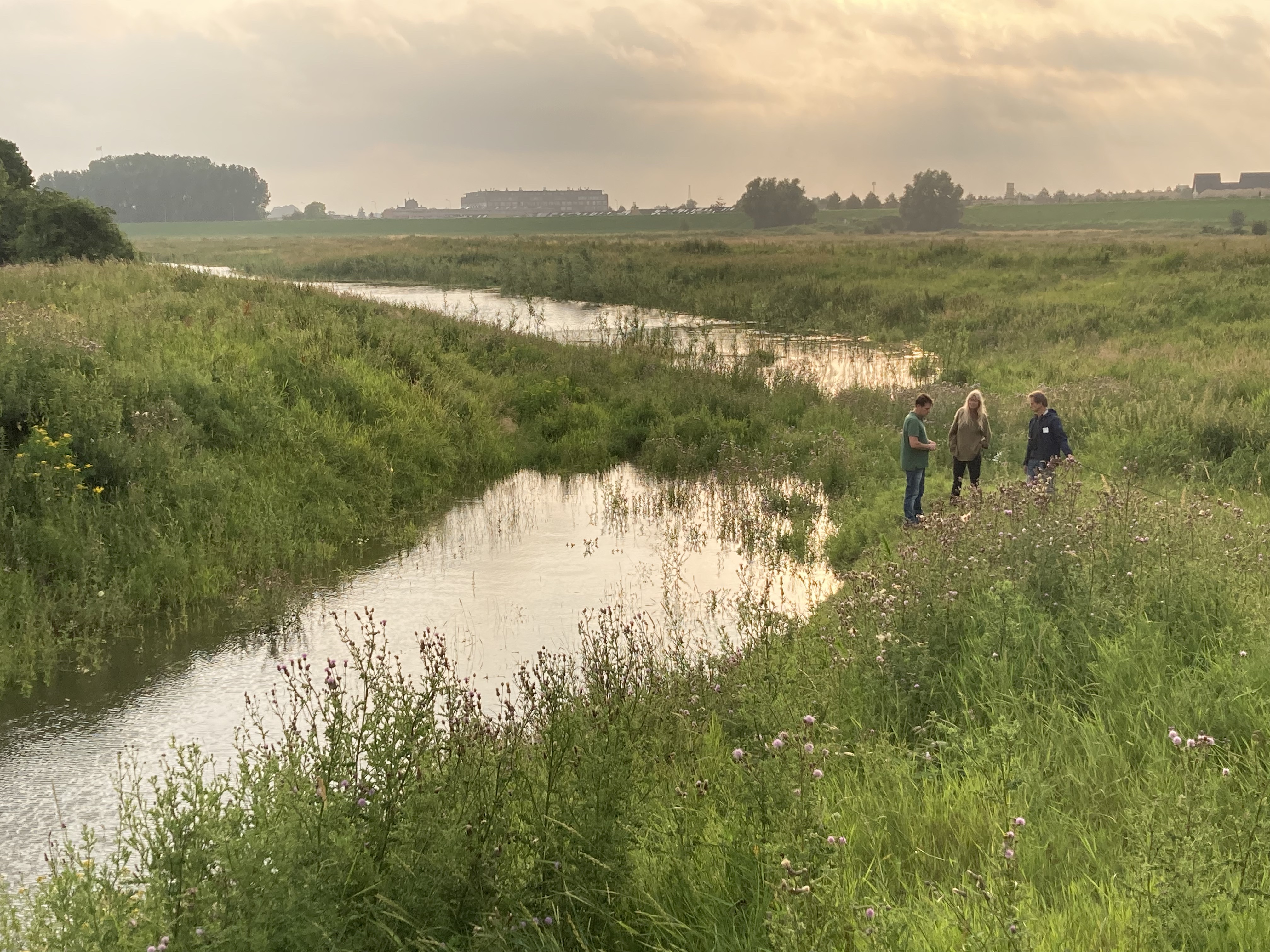 Niet alleen planten en dieren, ook steeds meer mensen weten het gebied te vinden.