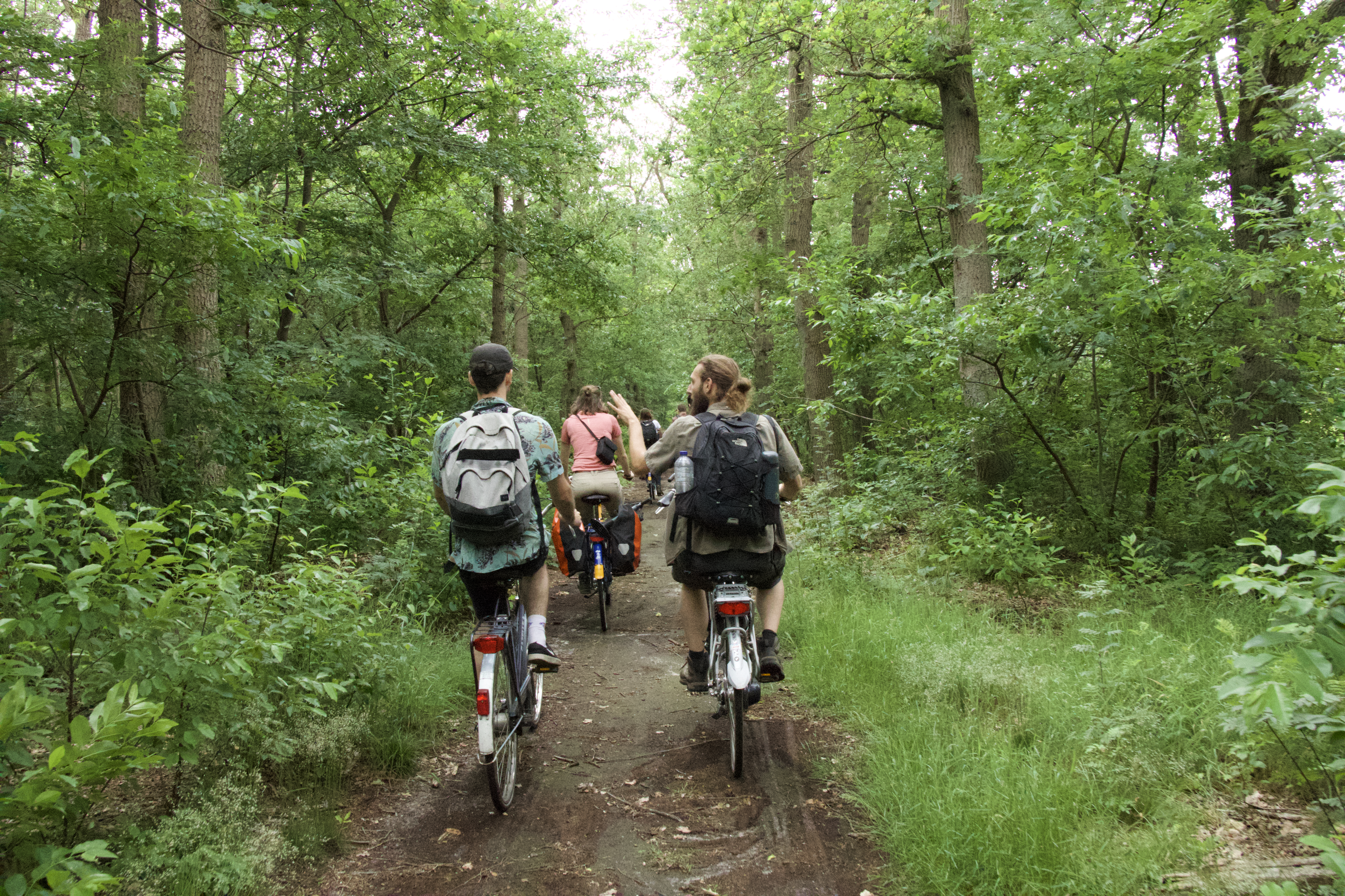 Fietstocht over de zuidelijke Veluwe. Foto: Nature Bits