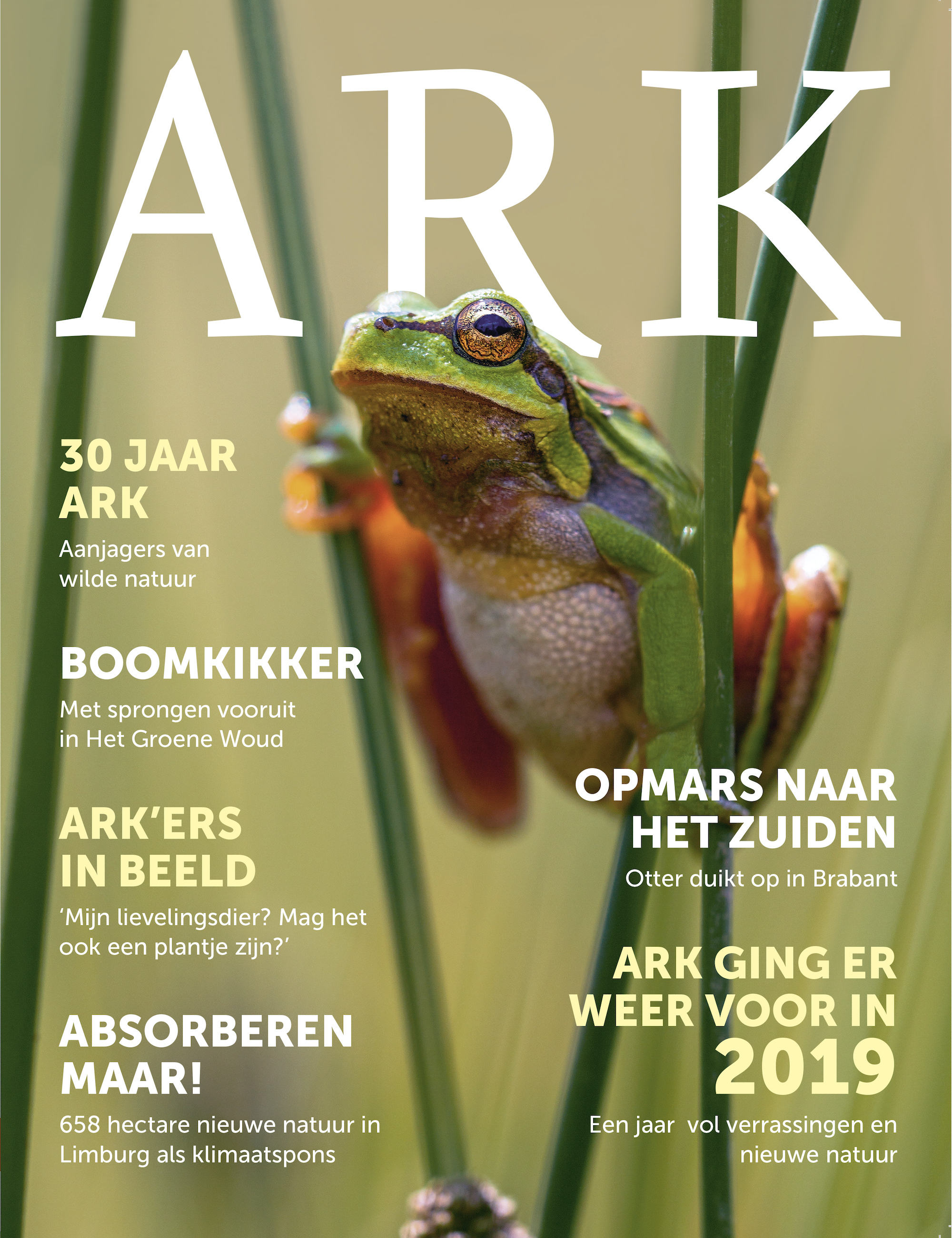 ARK Jaarverslag 2019