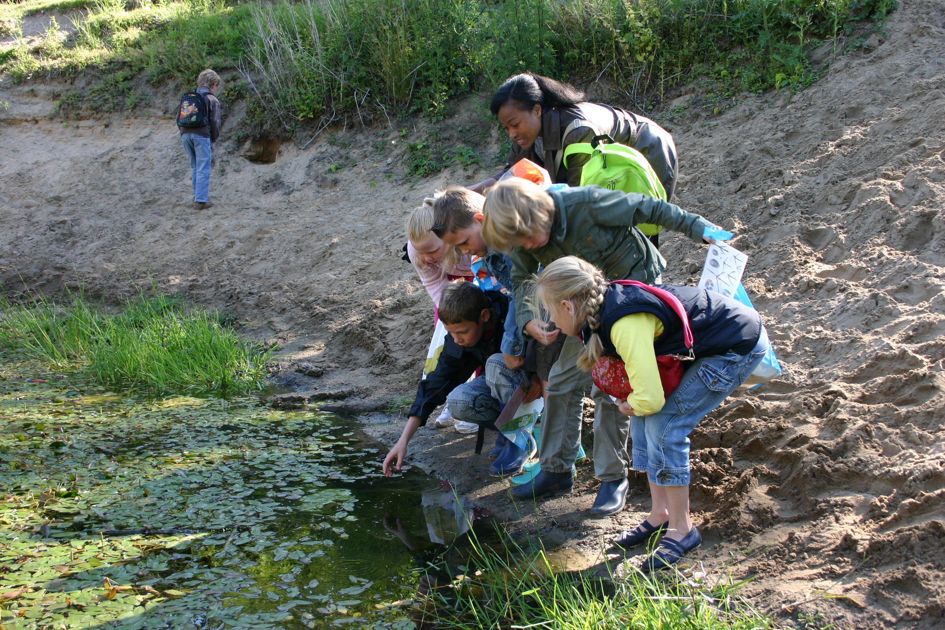 Veldles Eiland van Brienenoord