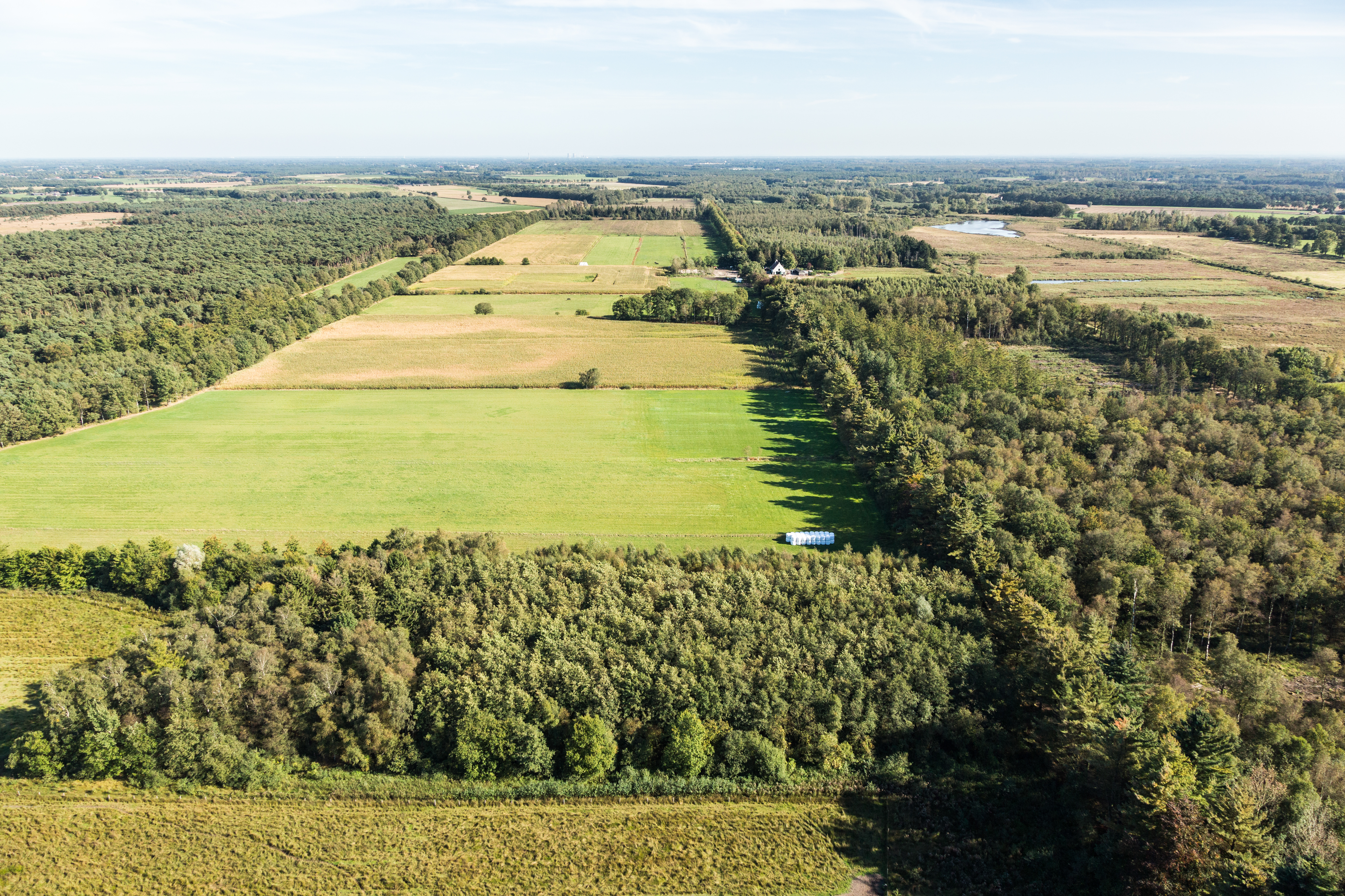 Kettingdijk - Foto: Erwin Christis