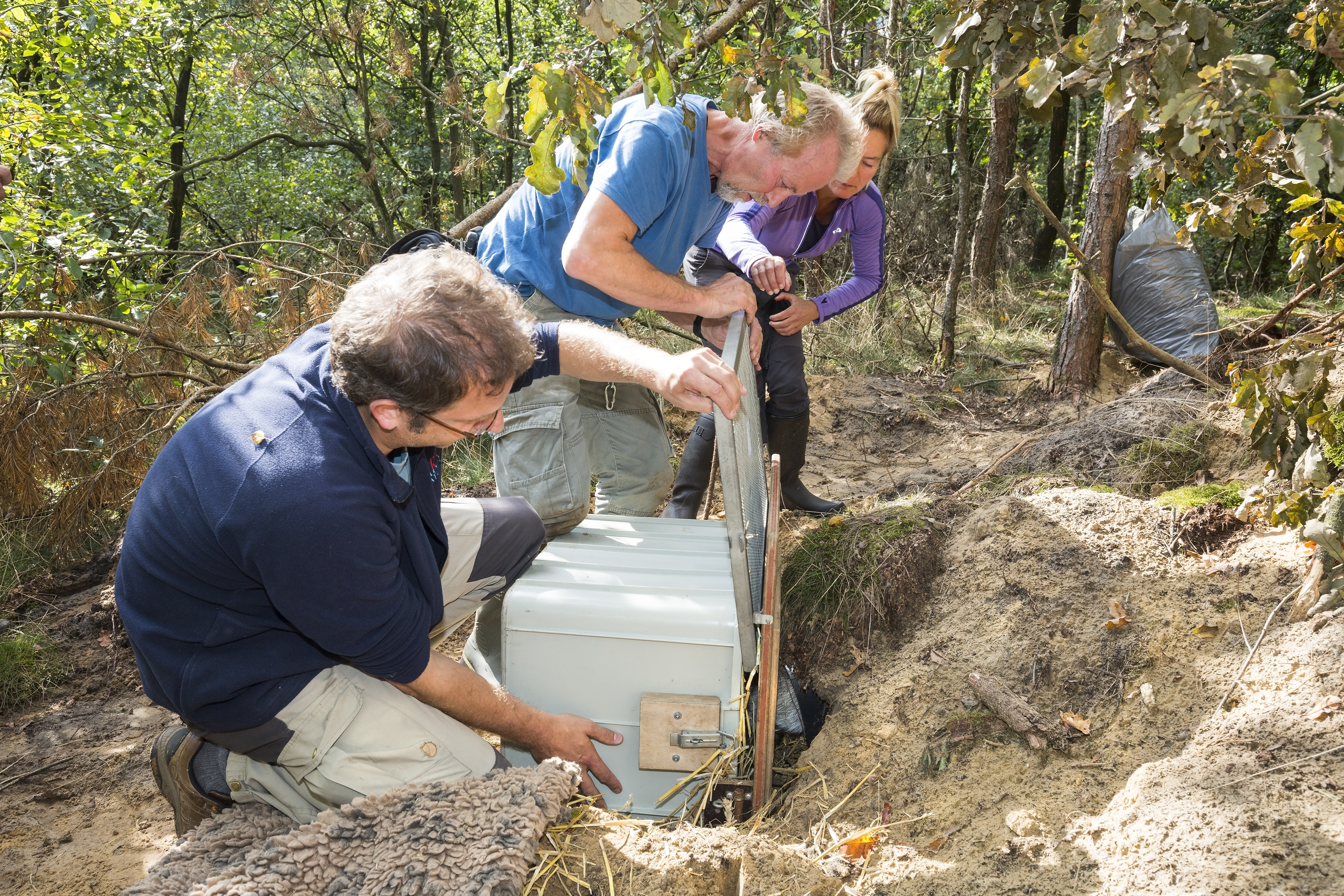Uitzetten das, foto: Bob Luijks