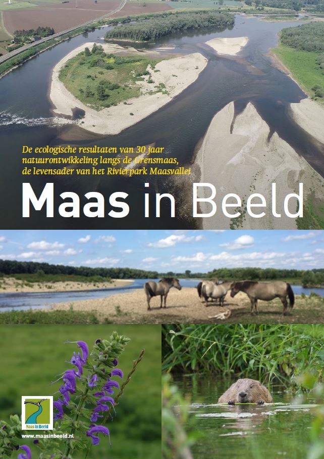 Maas in Beeld
