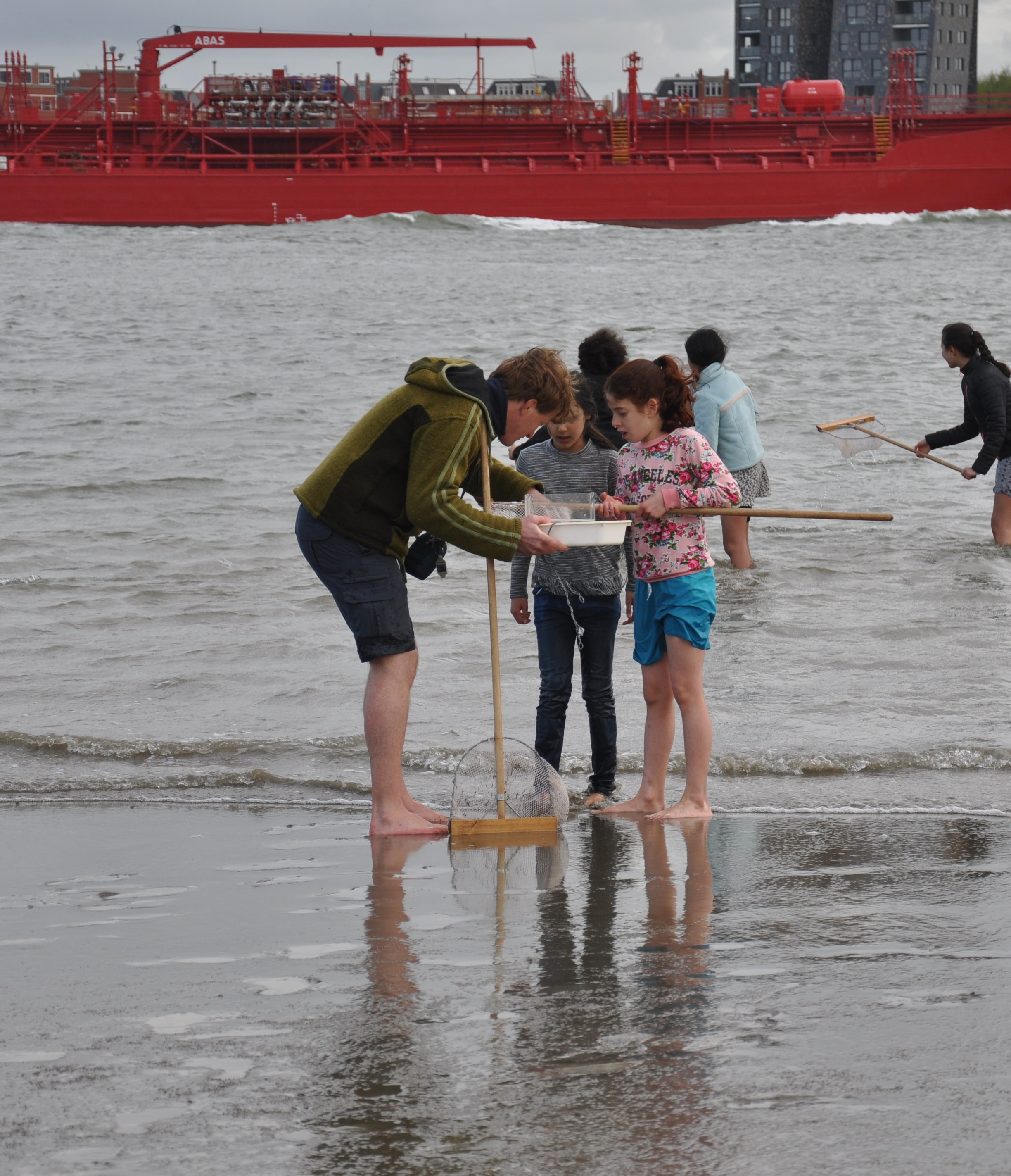 Veldles Groene Poort, foto: Wiebe Pannekoek