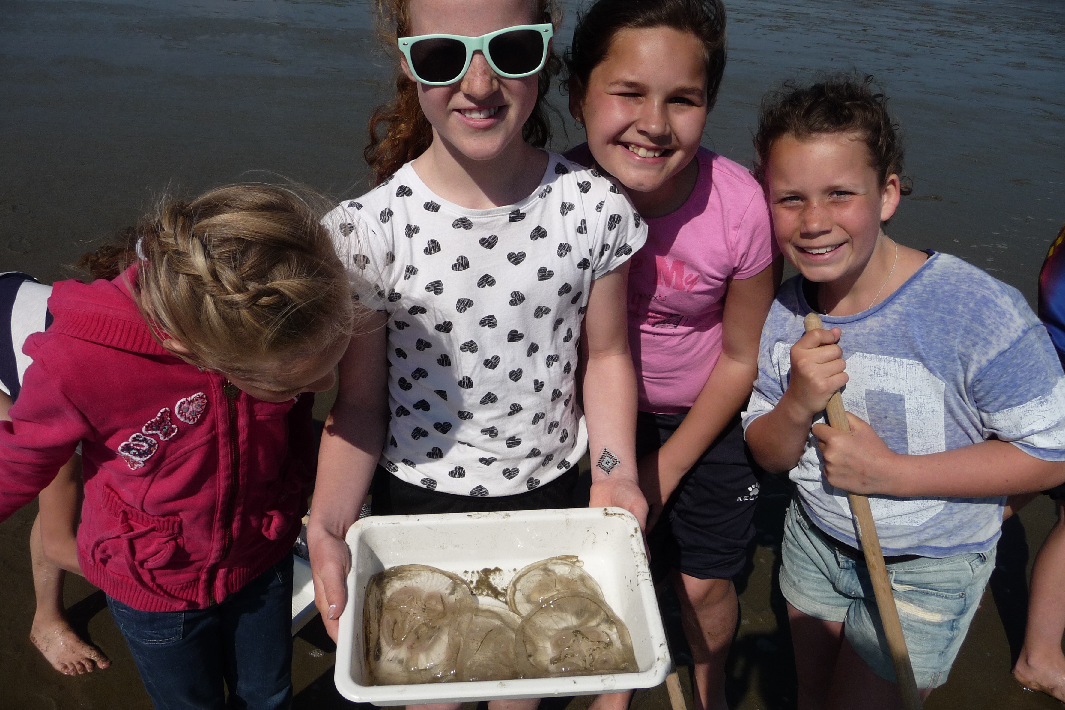 Kwallen vangen in de Groene Poort door basisschool de Bongerd