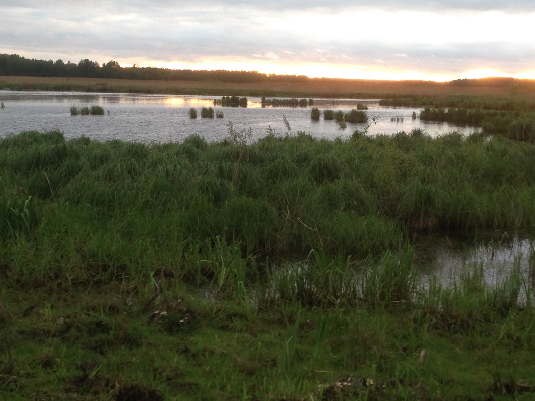 Zonsondergang langs de Dviete. Foto: Lex van Drongelen