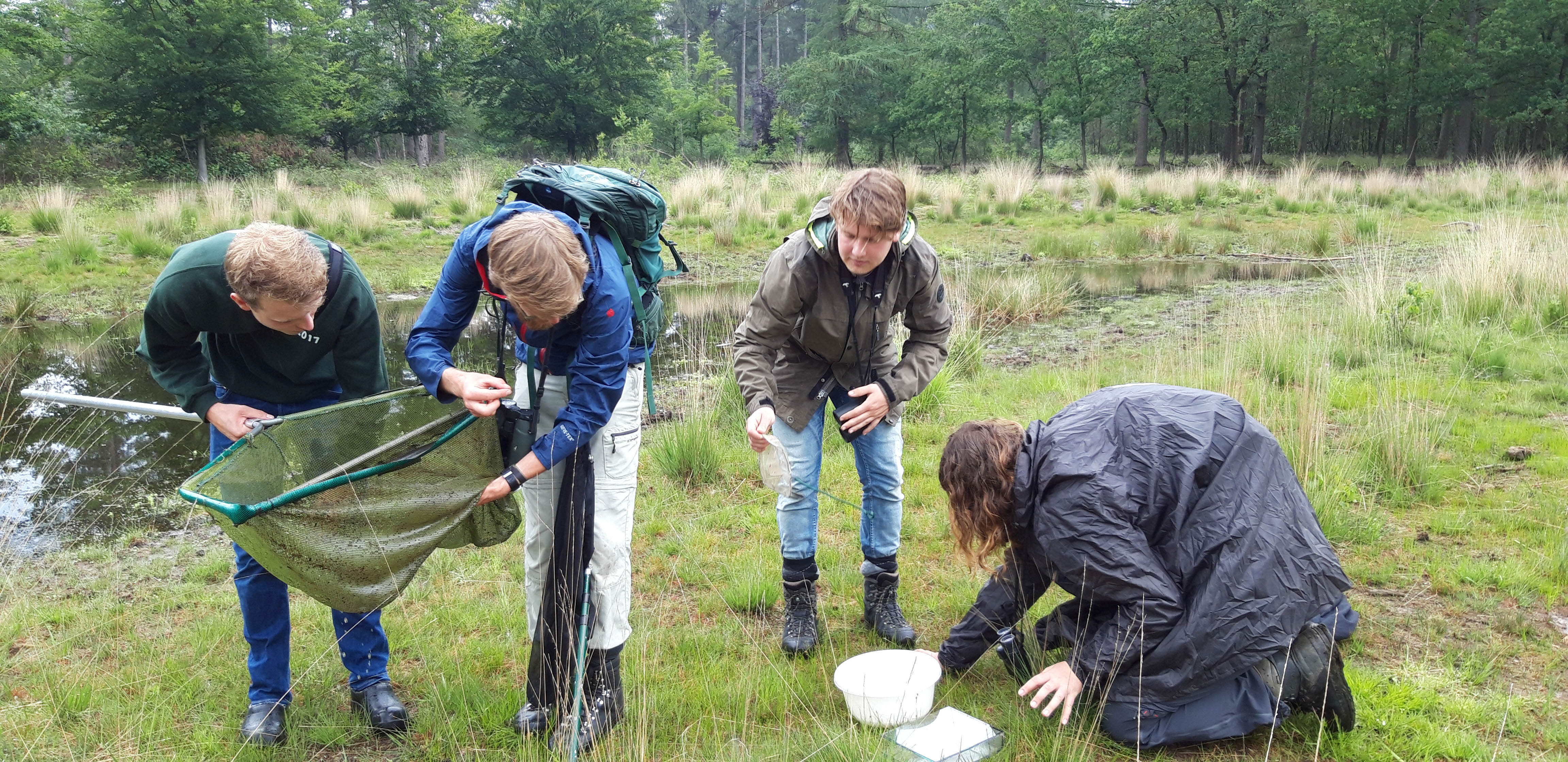 Beestjes zoeken in de Maashorst tijdens het 1000-soorten-weekend