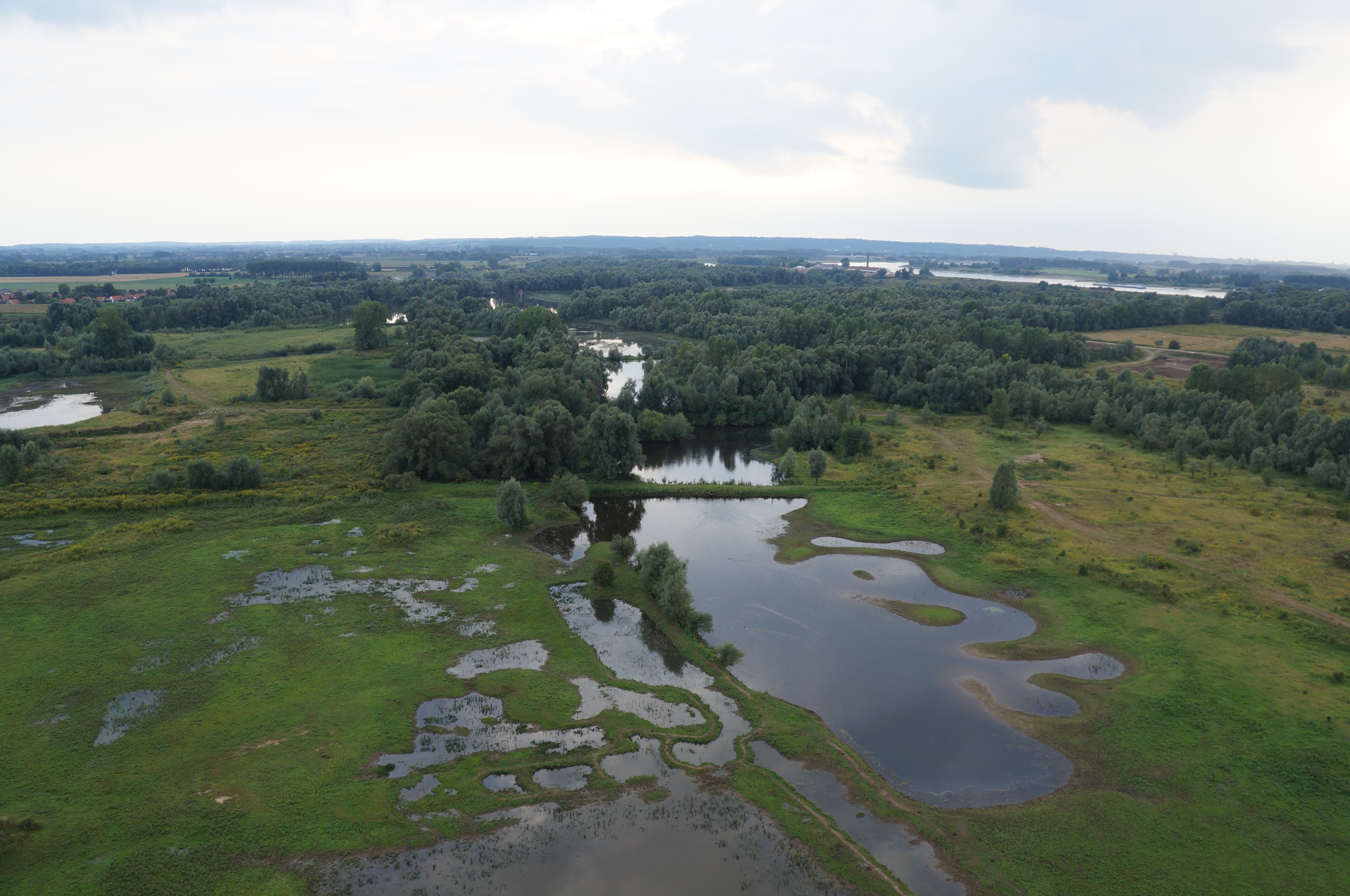Millingerwaard