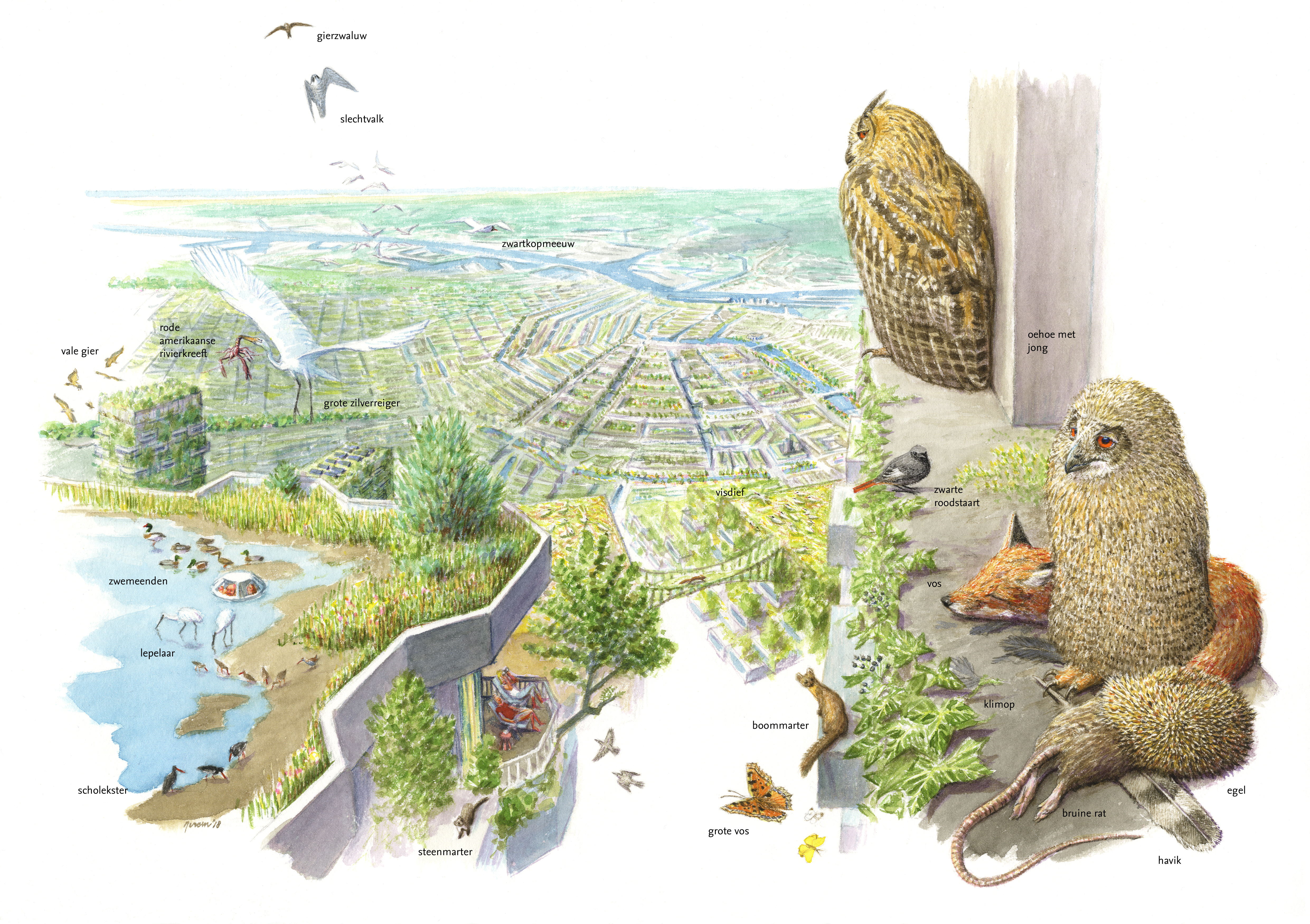 Natuurdroom Noord-Holland