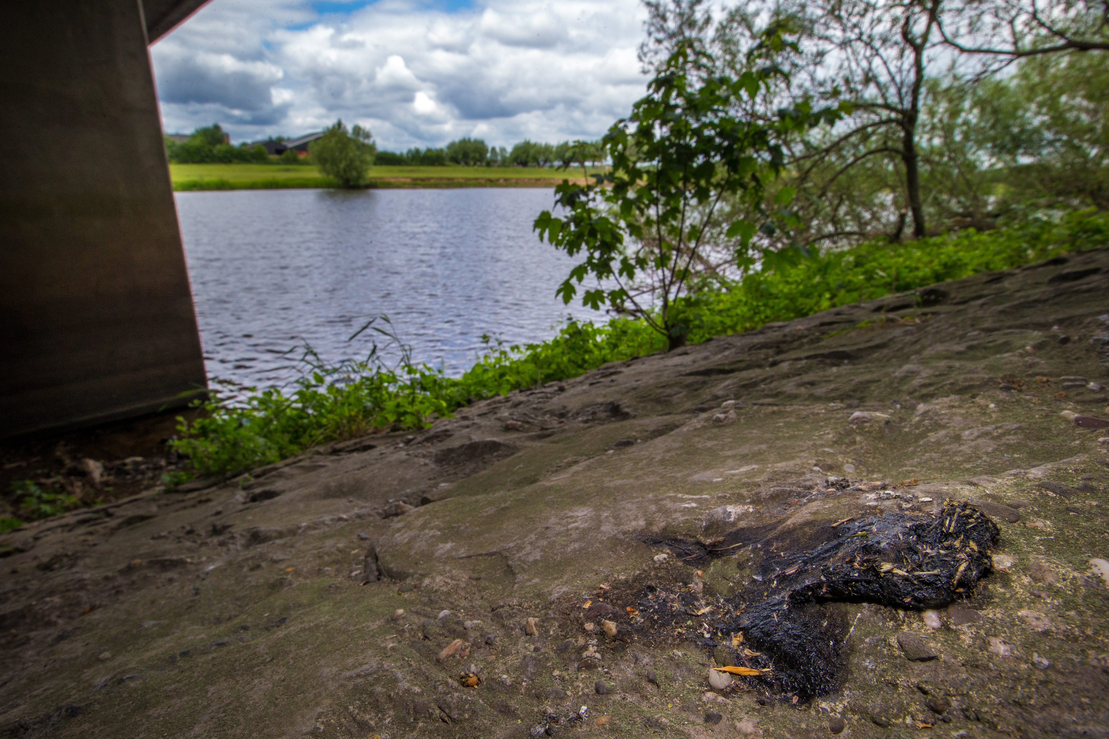 Klassieke otterspraint. Onder een brug, op het meest uitstekende steentje wat er te vinden was. Foto: Michiel van Noppen