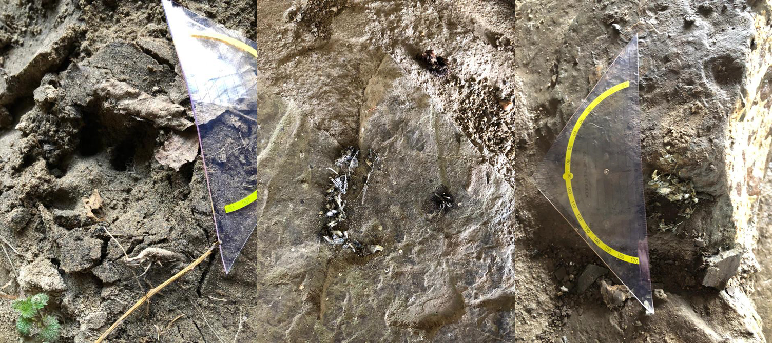 Van links naar rechts: prent Hambeek, spraint Hambeek en spraint Roer. Foto's: Tamira Hofmans