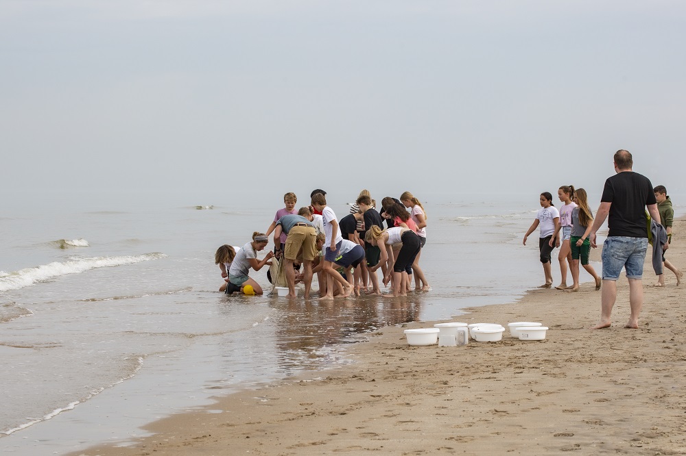 Kinderen bekijken wat in het net zit
