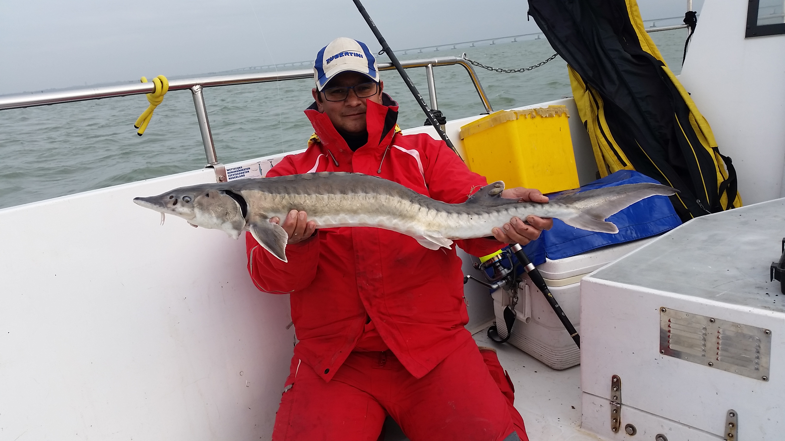 Gevangen steur. Foto: Ernest Ripson