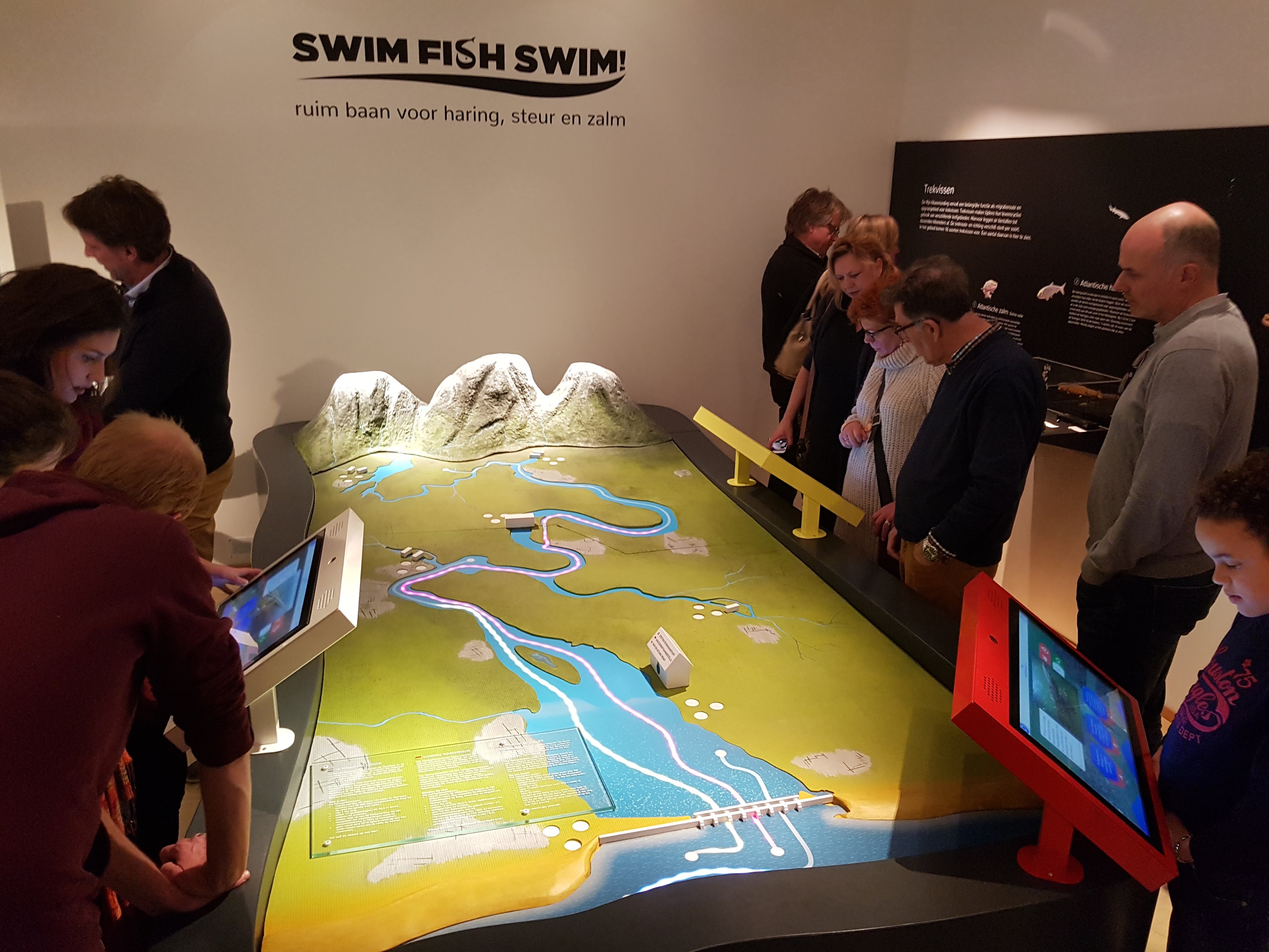 Tentoonstelling Swim Fish Swim!